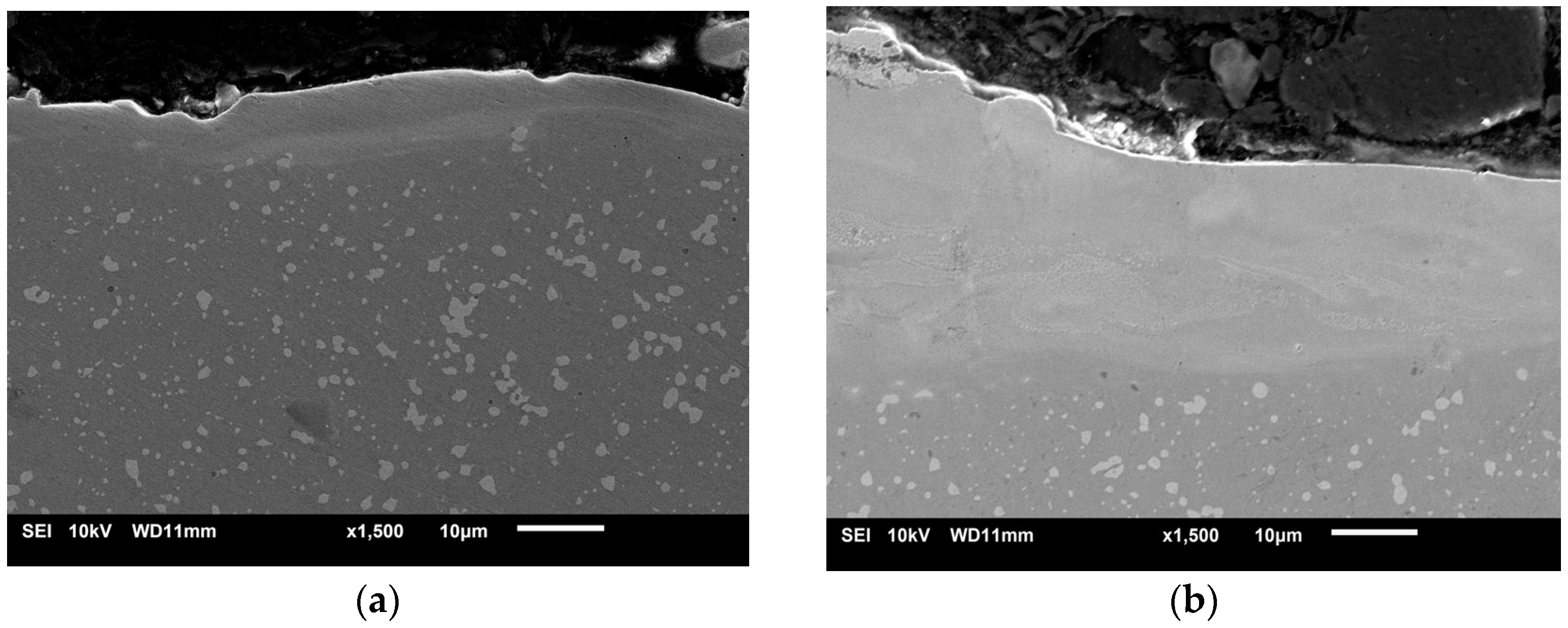 Materials 18 05005 g008