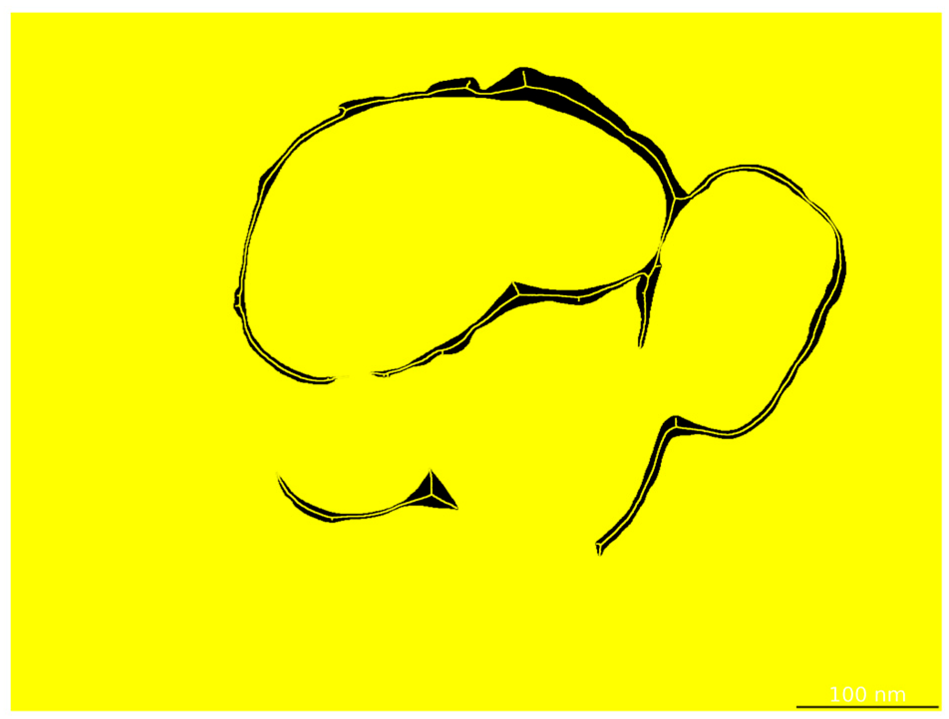 Materials 18 05007 g004 Materials 18 05007 g004