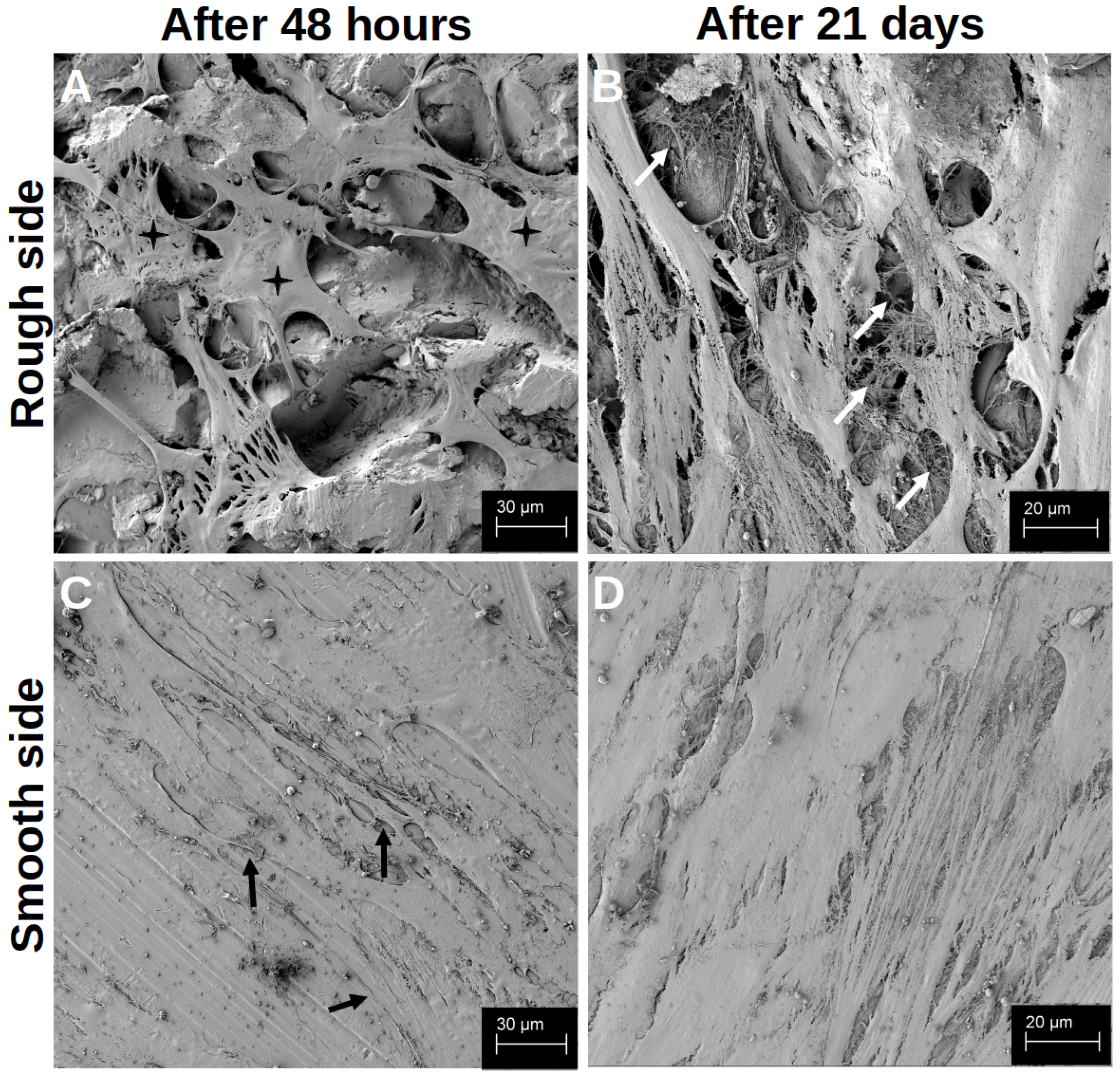 Materials 18 05012 g002 Materials 18 05012 g002
