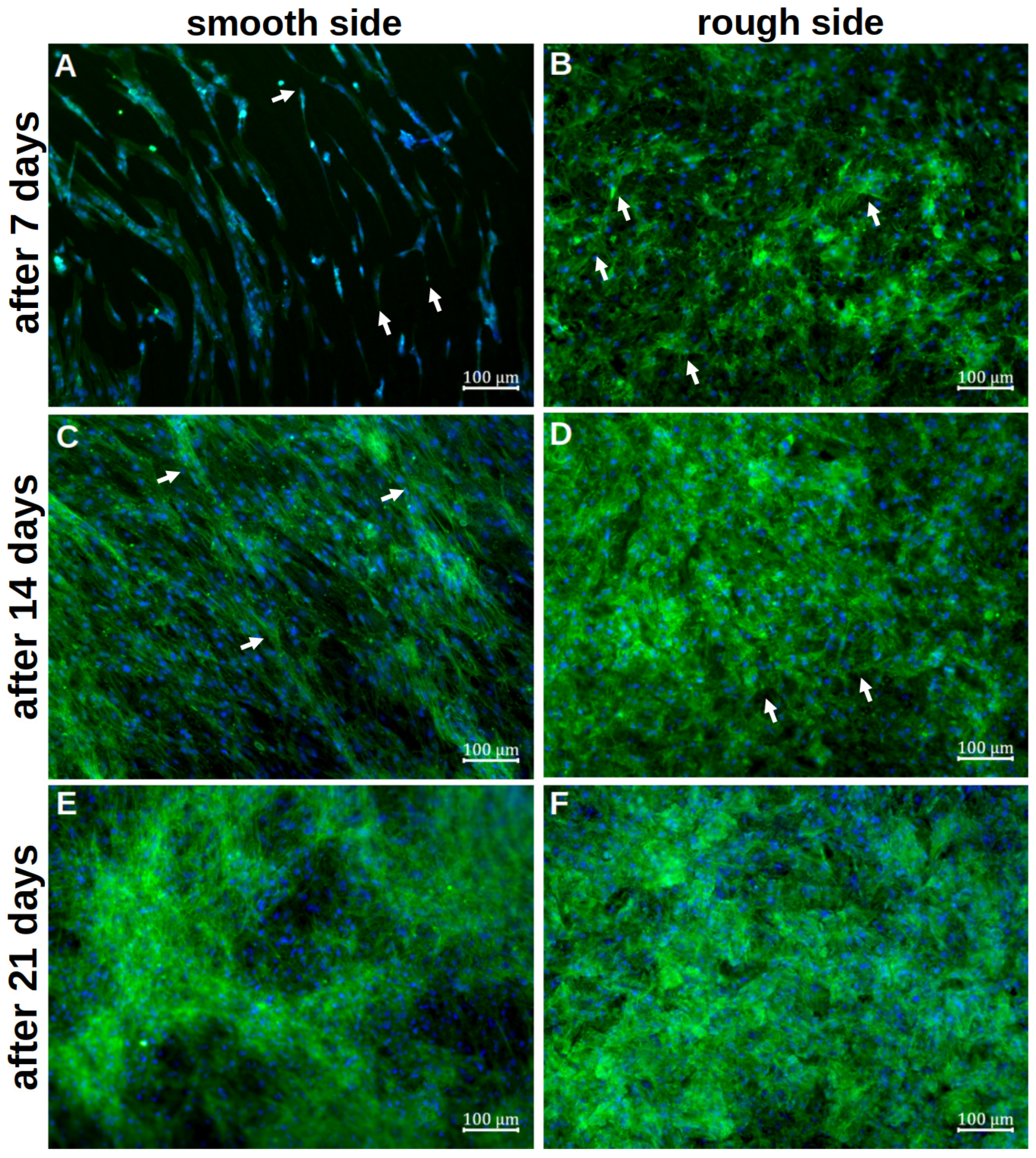 Materials 18 05012 g004 Materials 18 05012 g004
