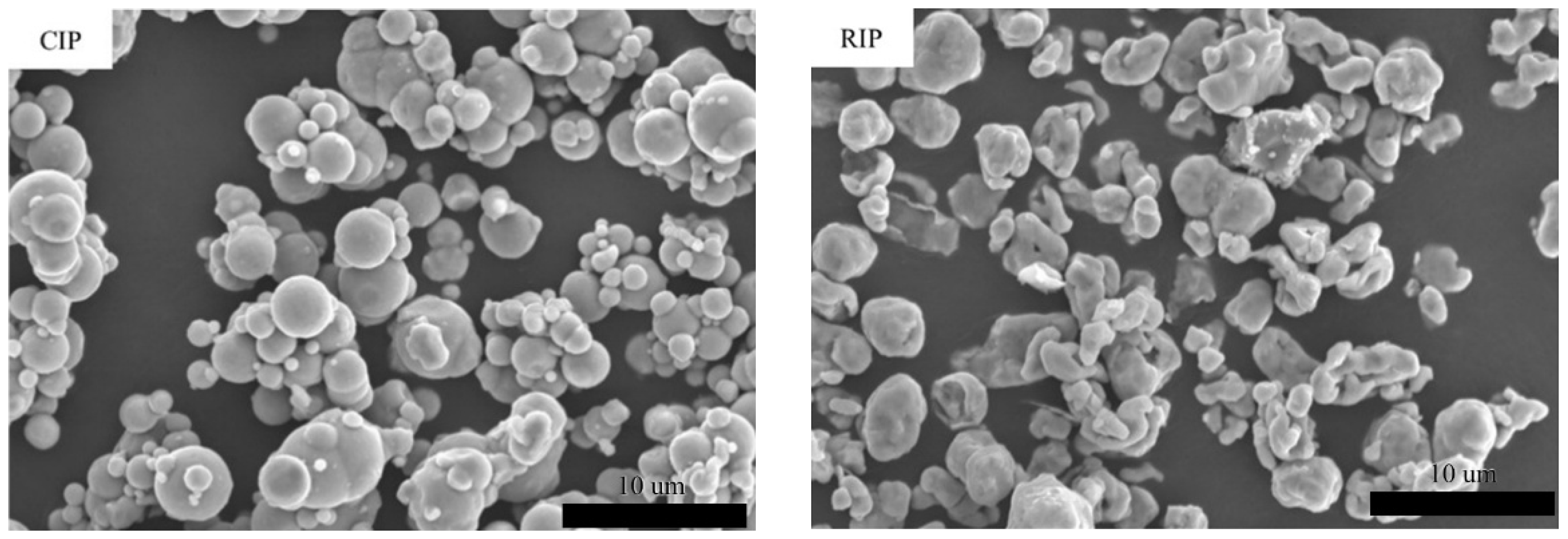 Materials 18 05016 g001a Materials 18 05016 g001a