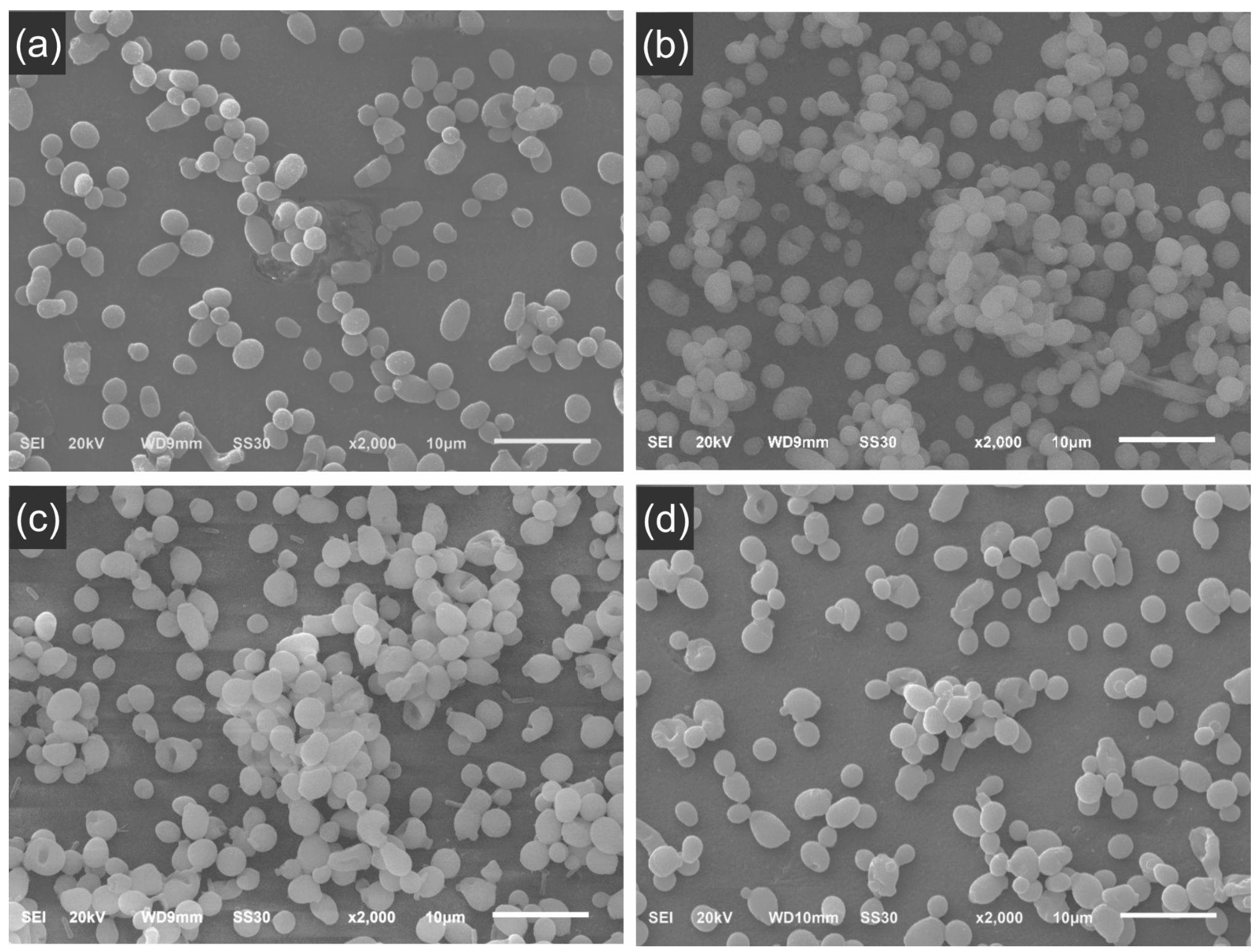 Materials 18 05018 g006