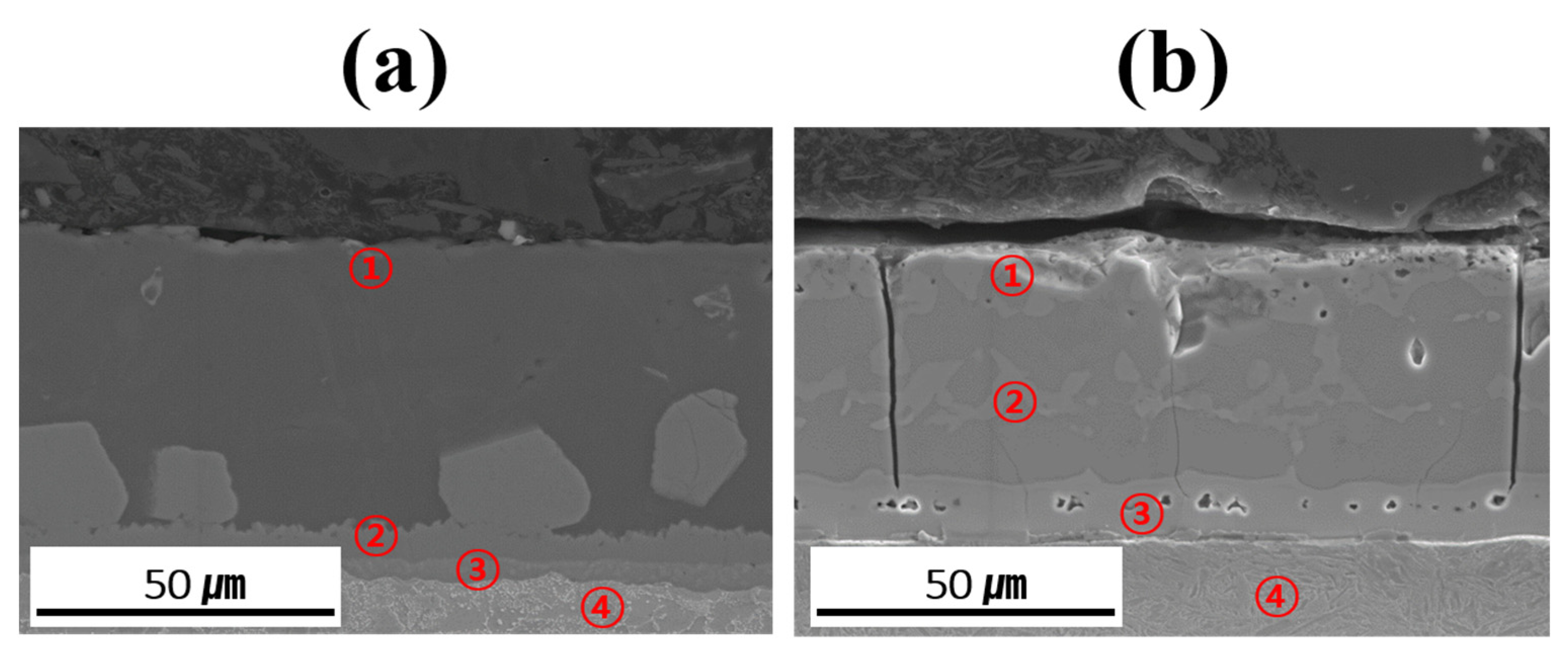 Materials 18 05032 g008