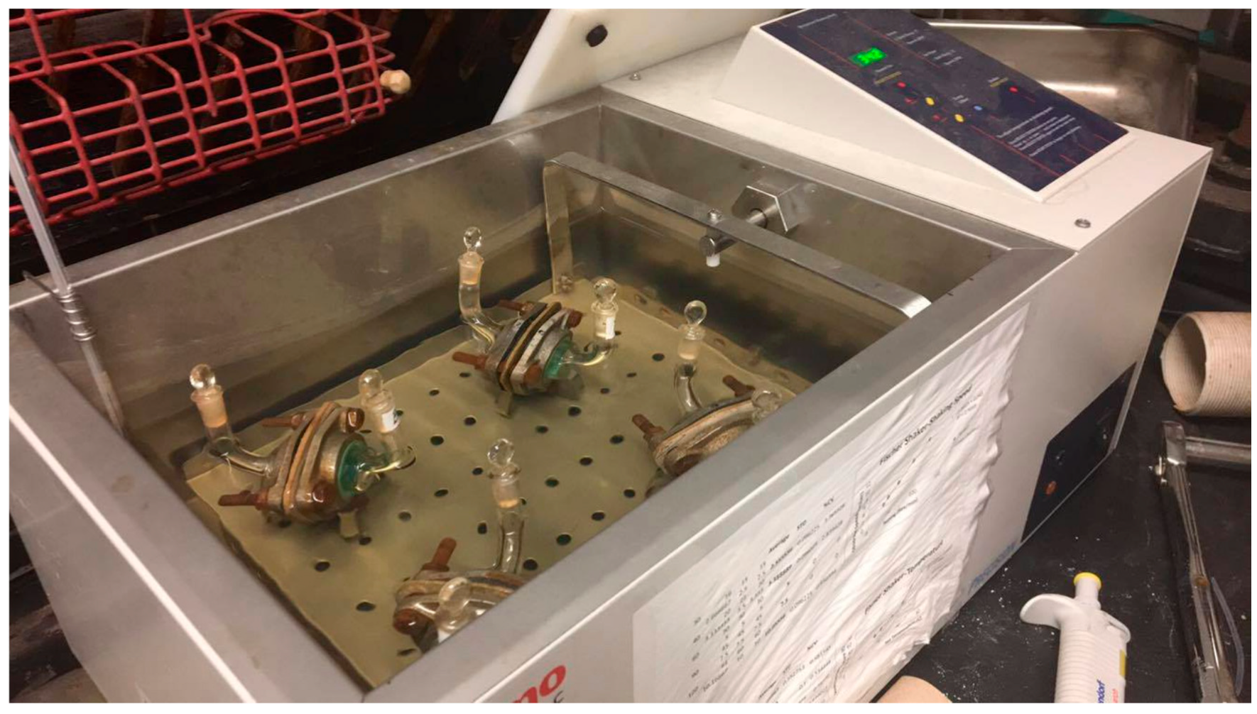 Materials 18 05055 g001