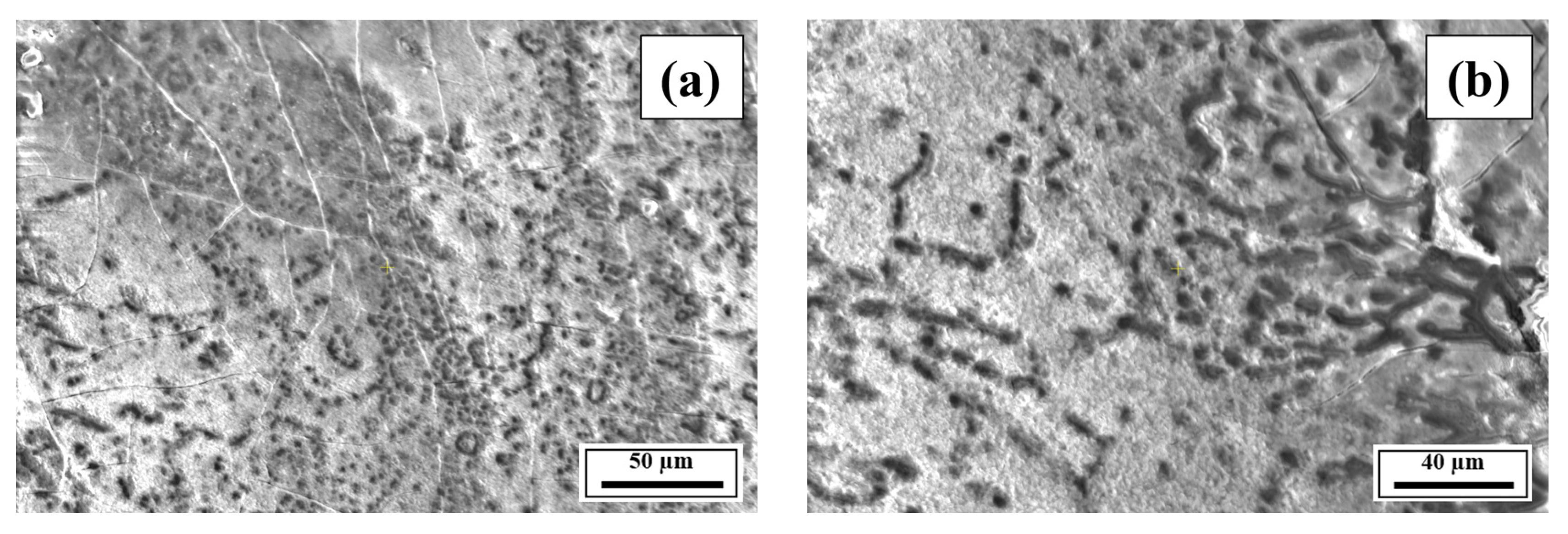 Materials 18 05089 g0a7a