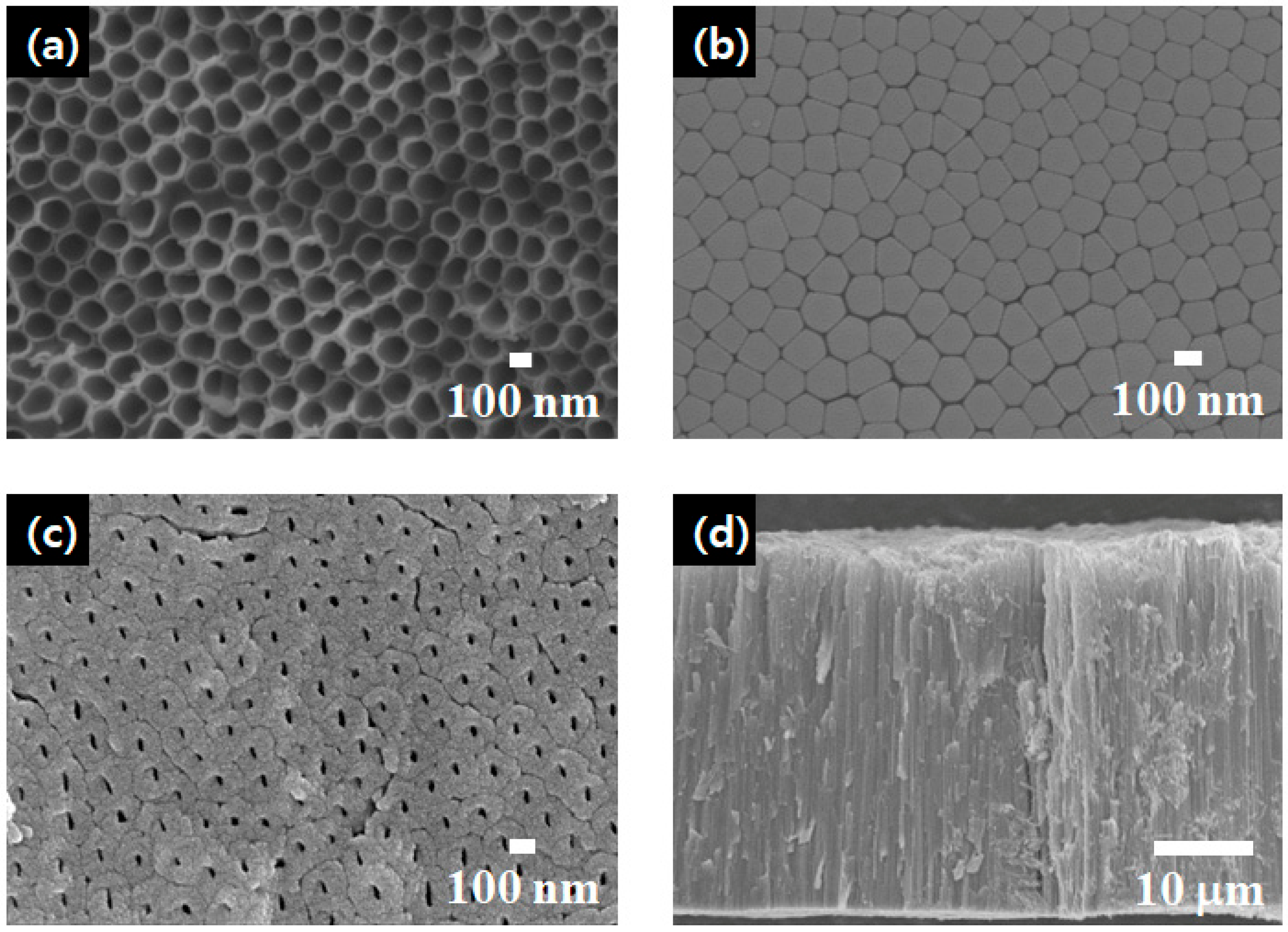 Materials 18 05101 g002 Materials 18 05101 g002