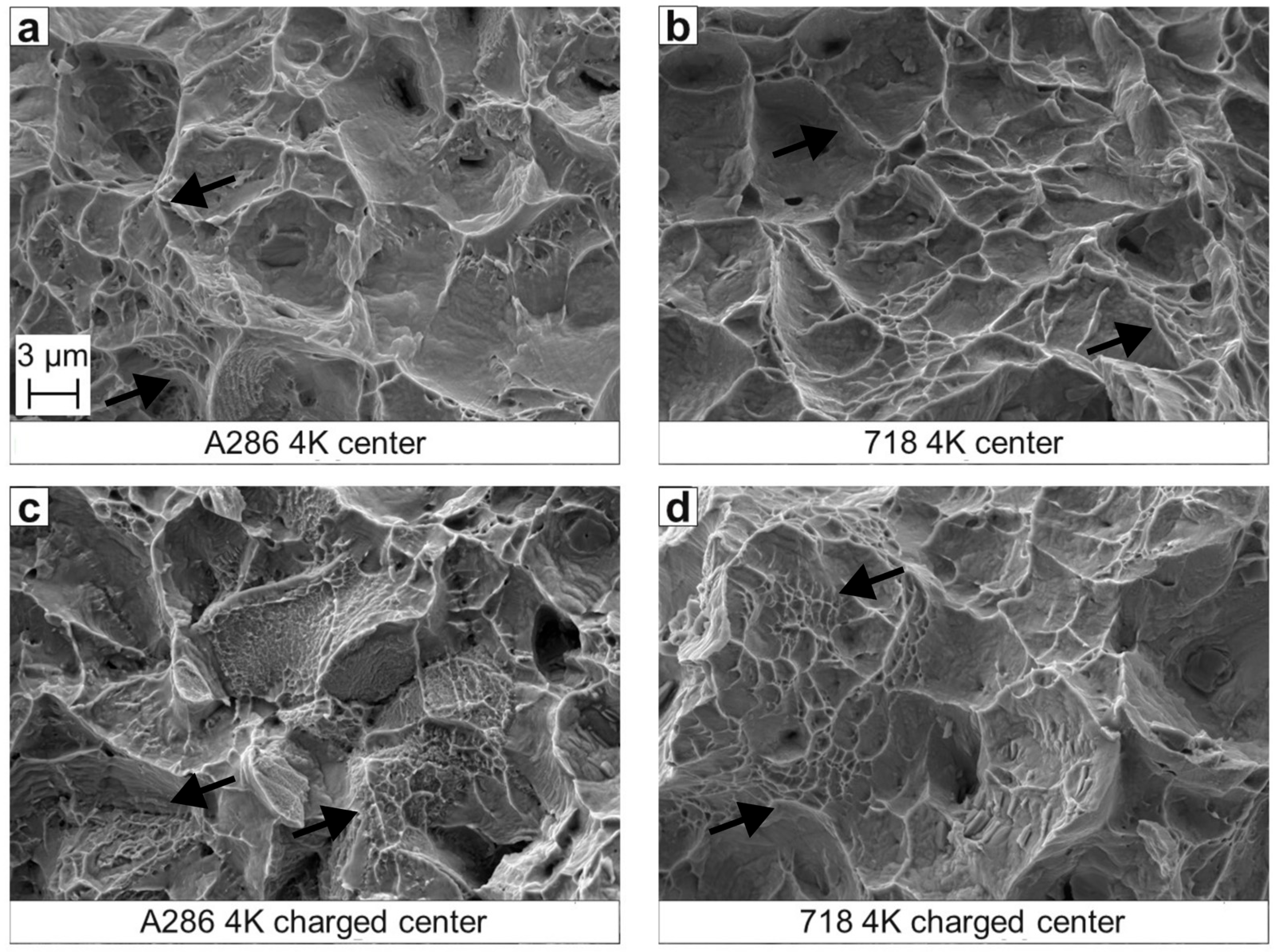 Materials 18 05109 g007 Materials 18 05109 g007