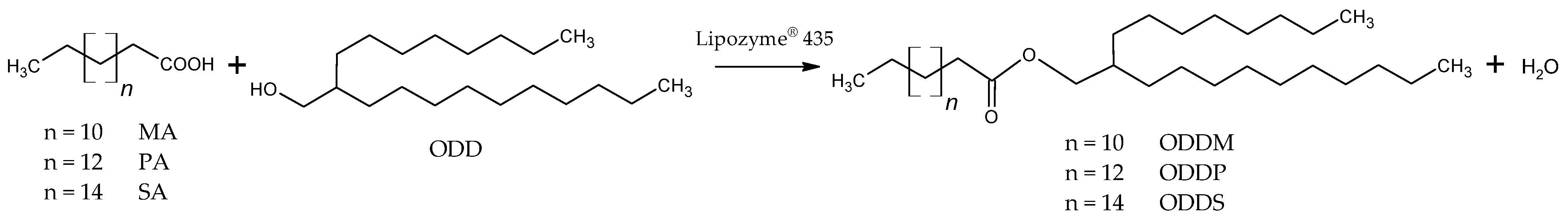 Materials 18 05129 g001