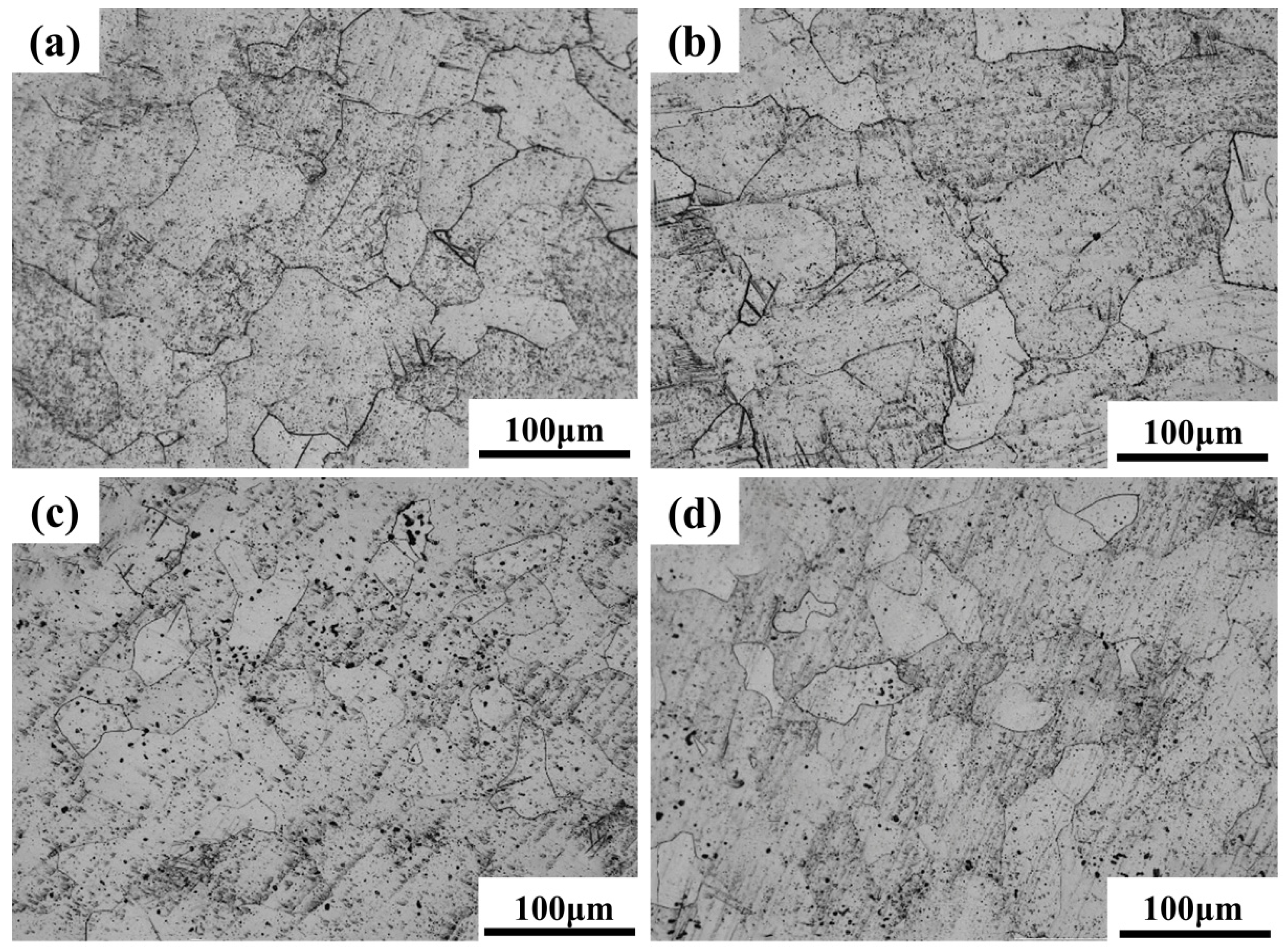 Materials 18 05138 g006 Materials 18 05138 g006