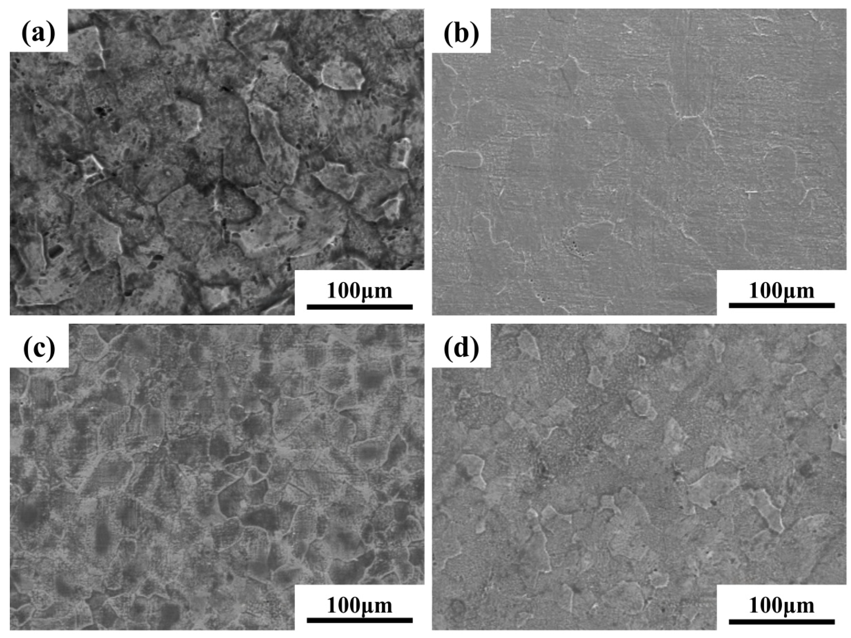 Materials 18 05138 g007 Materials 18 05138 g007