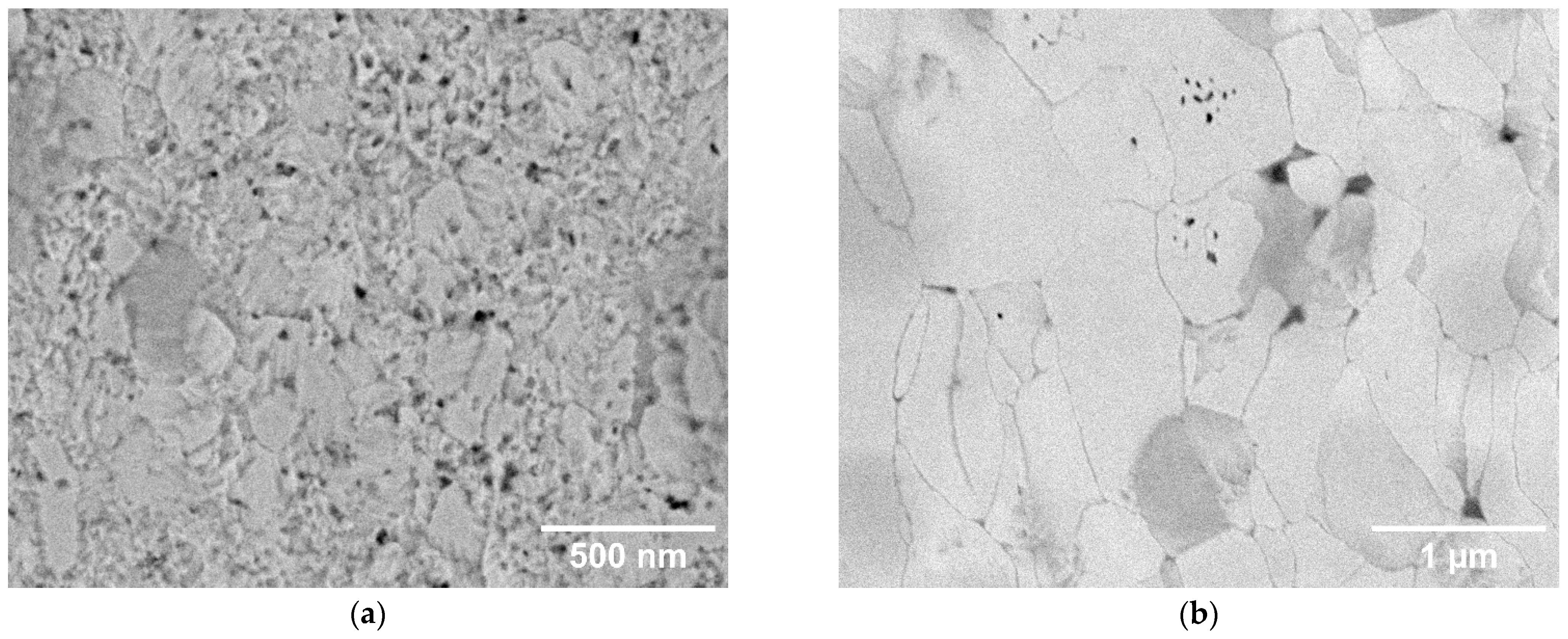 Materials 18 05265 g003a Materials 18 05265 g003a