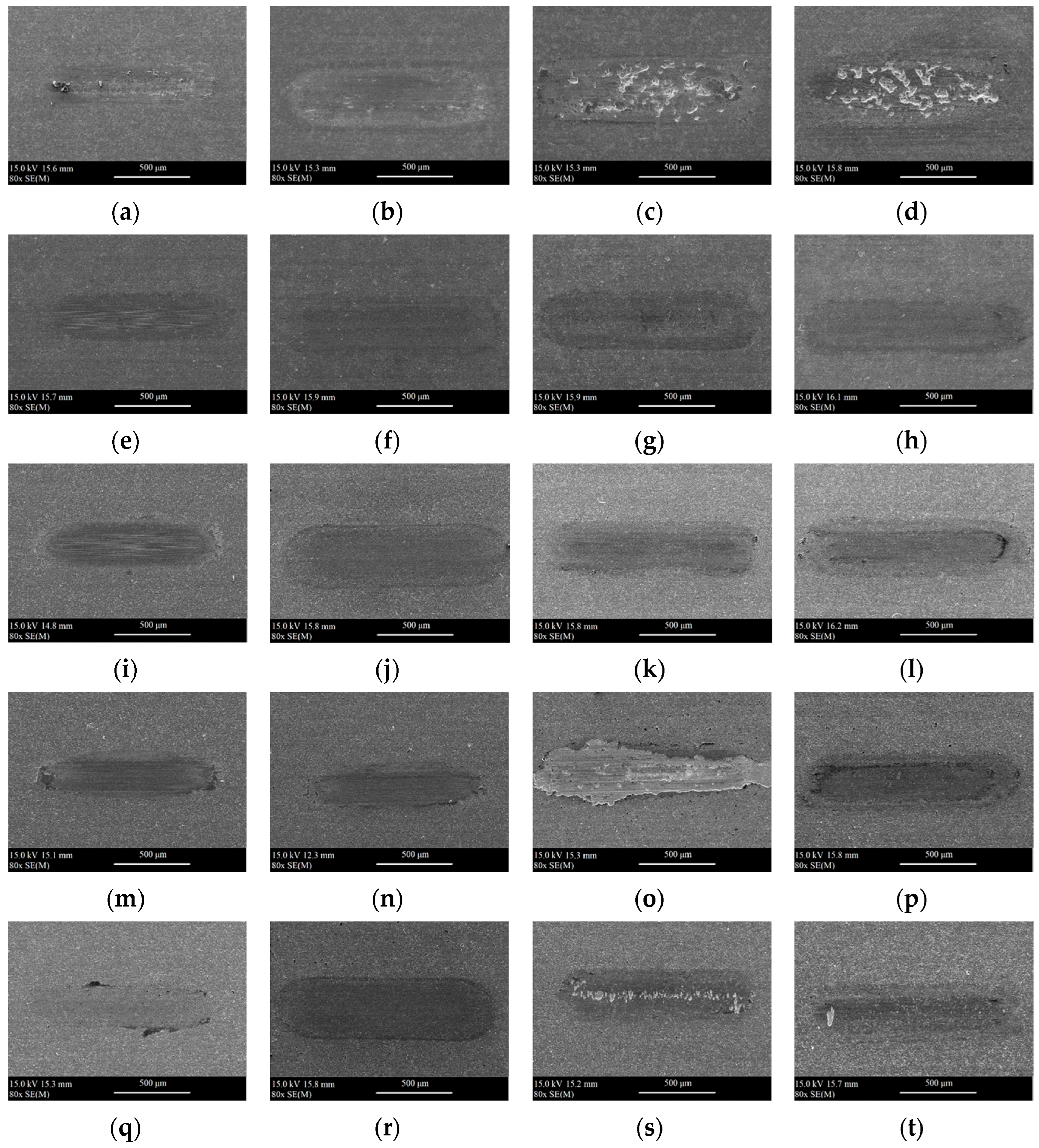 Materials 18 05274 g013 Materials 18 05274 g013