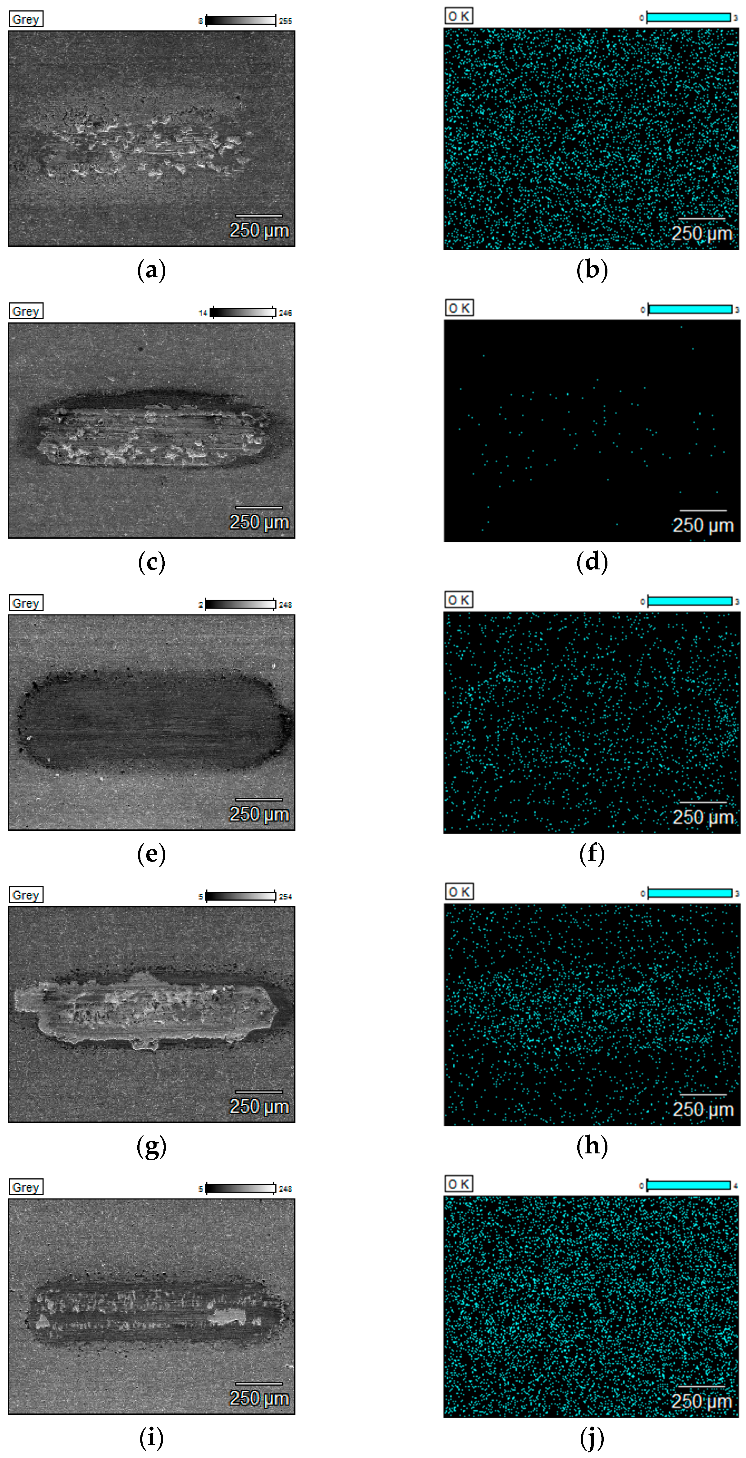 Materials 18 05274 g015 Materials 18 05274 g015