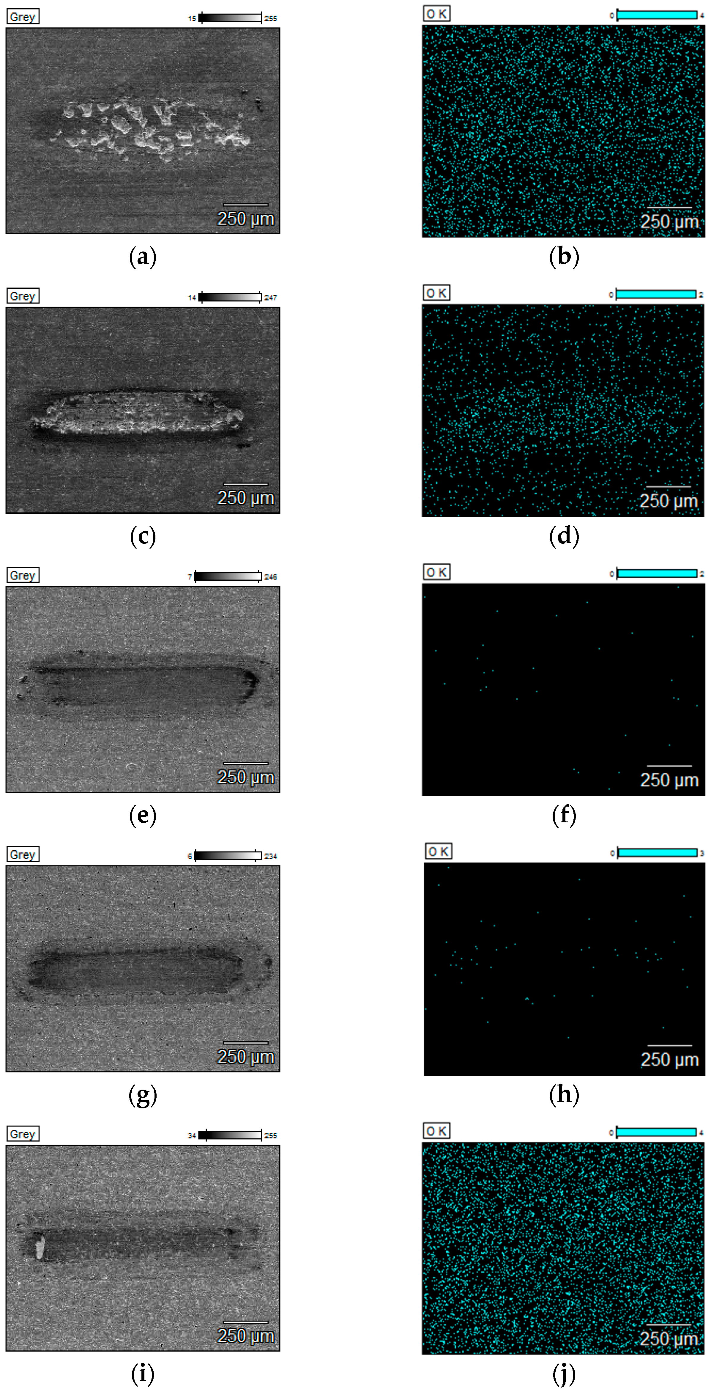 Materials 18 05274 g016 Materials 18 05274 g016