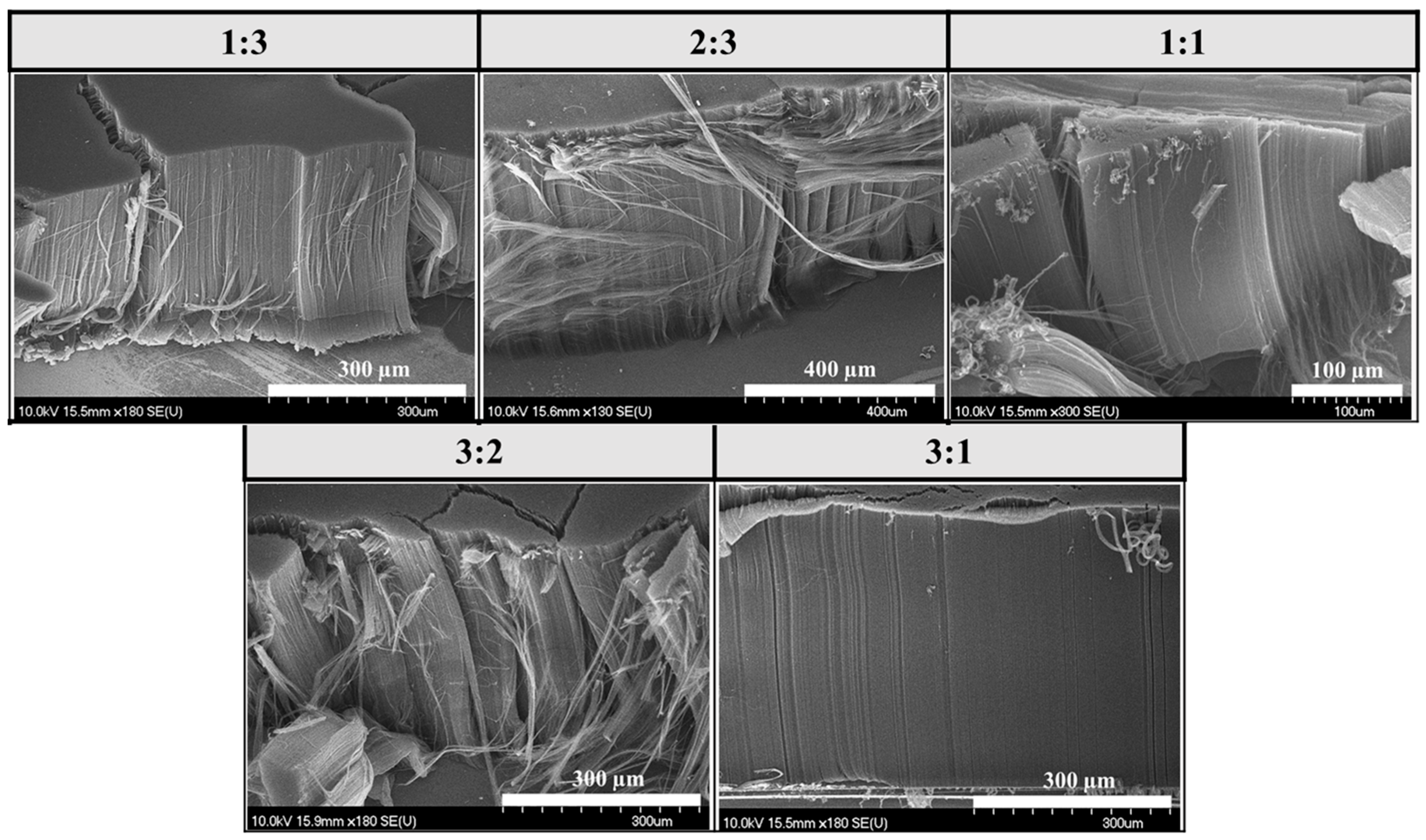 Materials 18 05309 g004 Materials 18 05309 g004