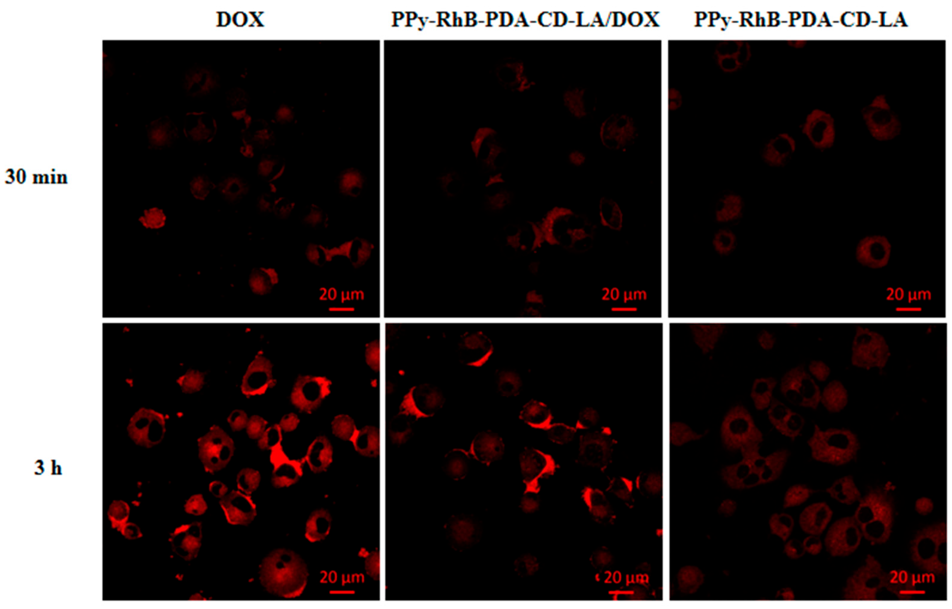 Materials 18 05313 g012