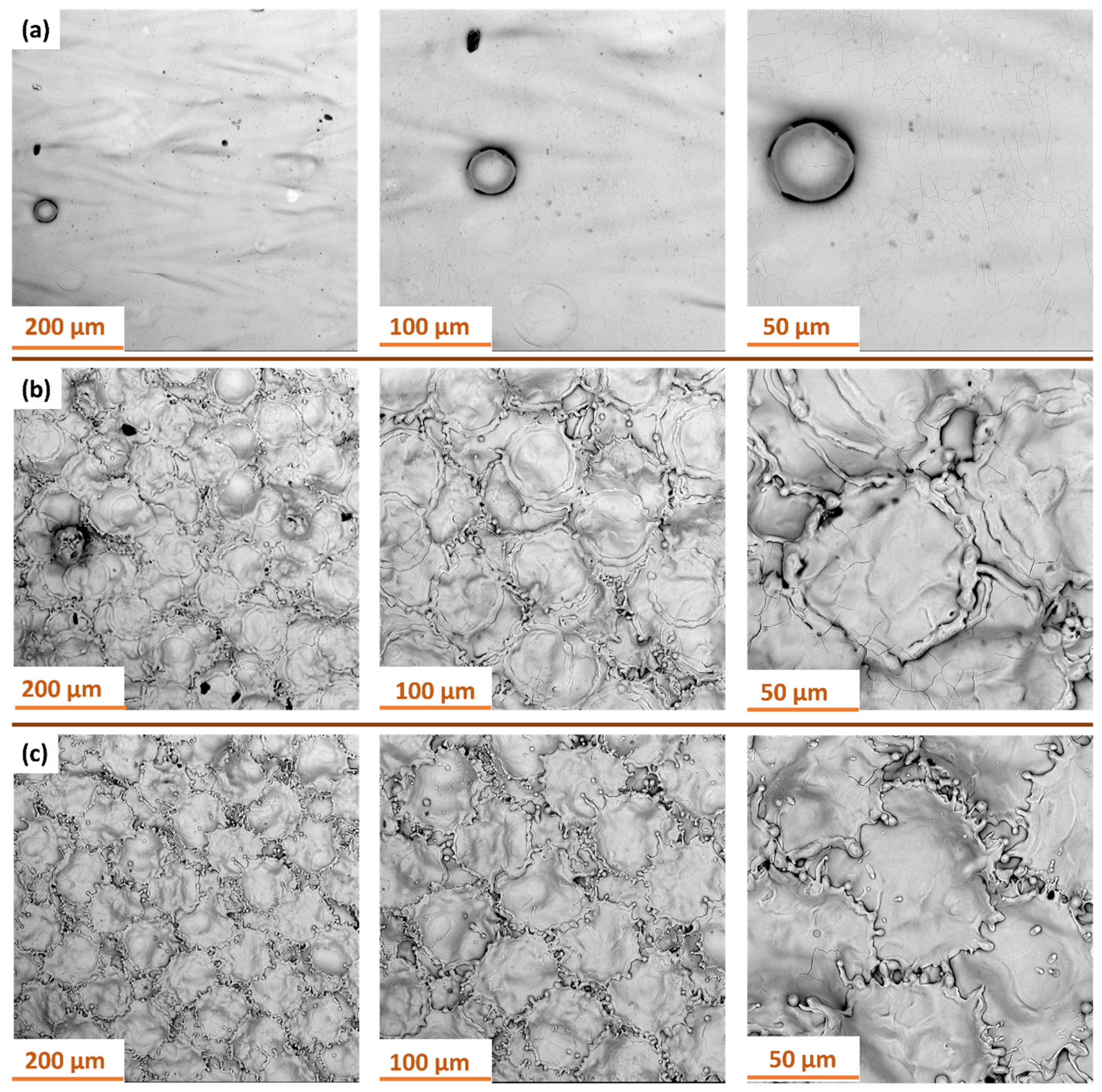 Materials 18 05315 g016 Materials 18 05315 g016
