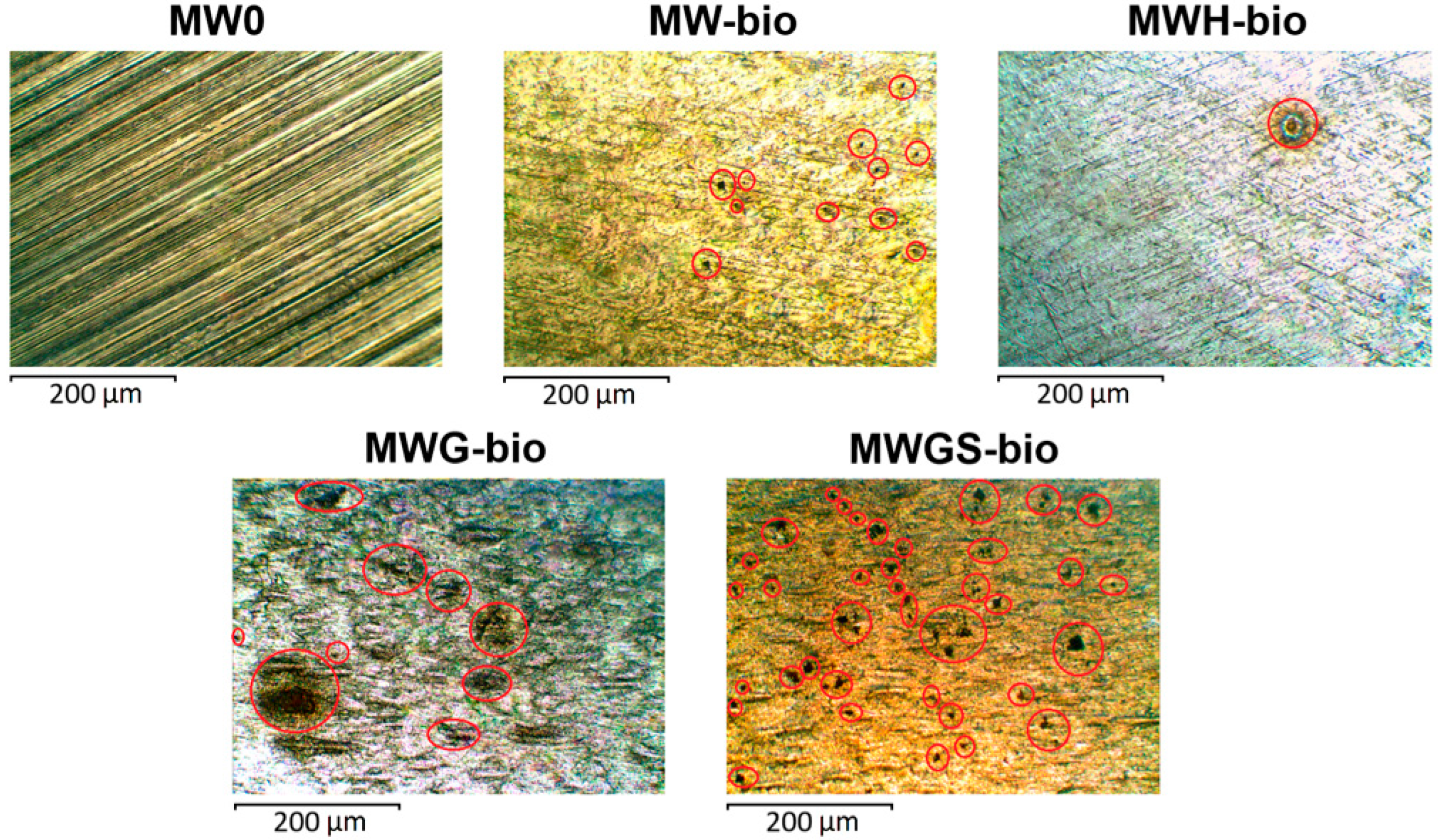 Materials 18 05329 g005 Materials 18 05329 g005