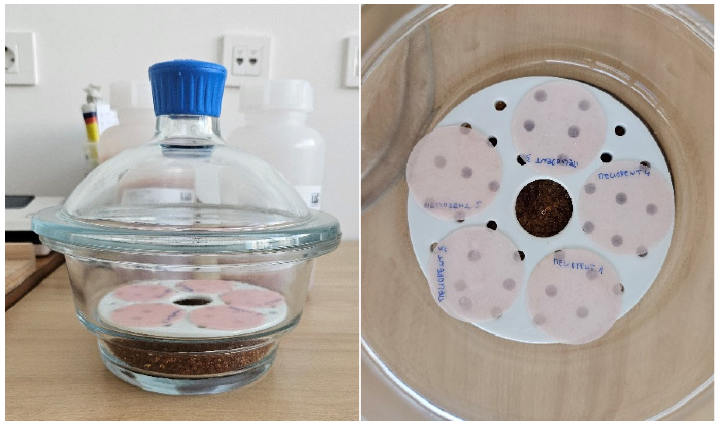 Materials 18 05343 g001