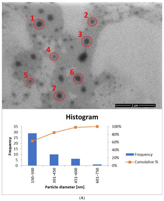 Materials 18 05355 g013a