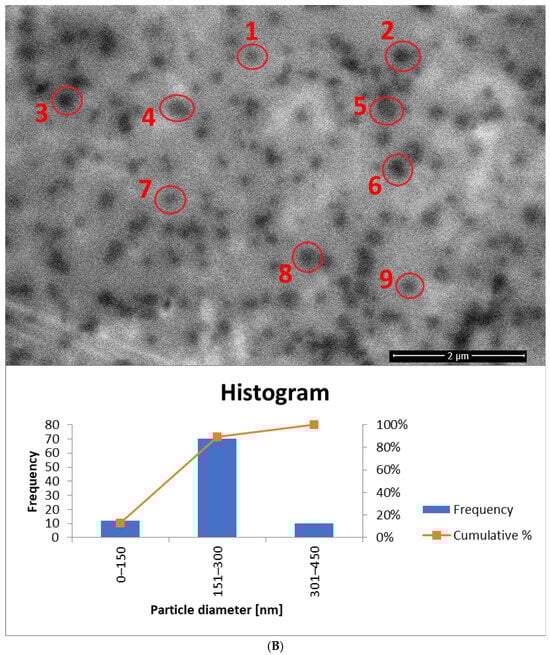 Materials 18 05355 g014b