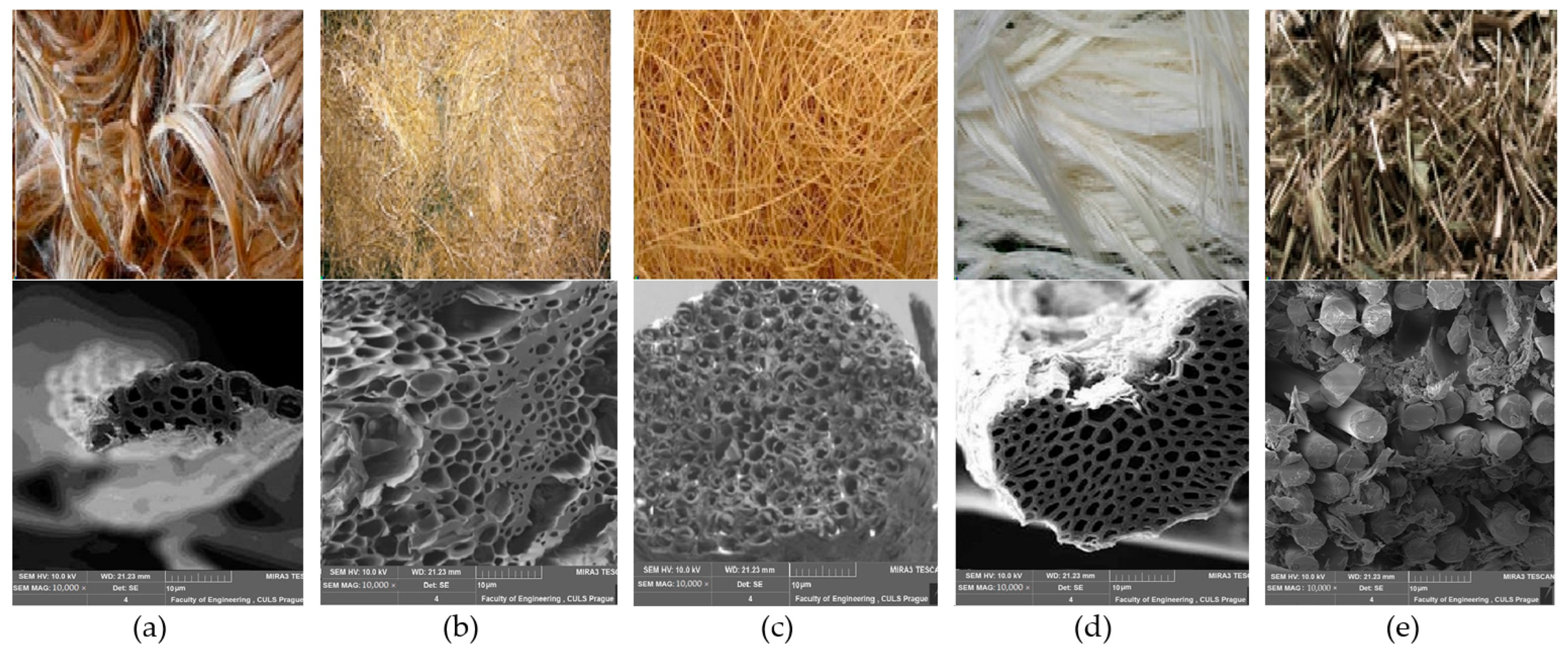 Materials 18 05419 g005