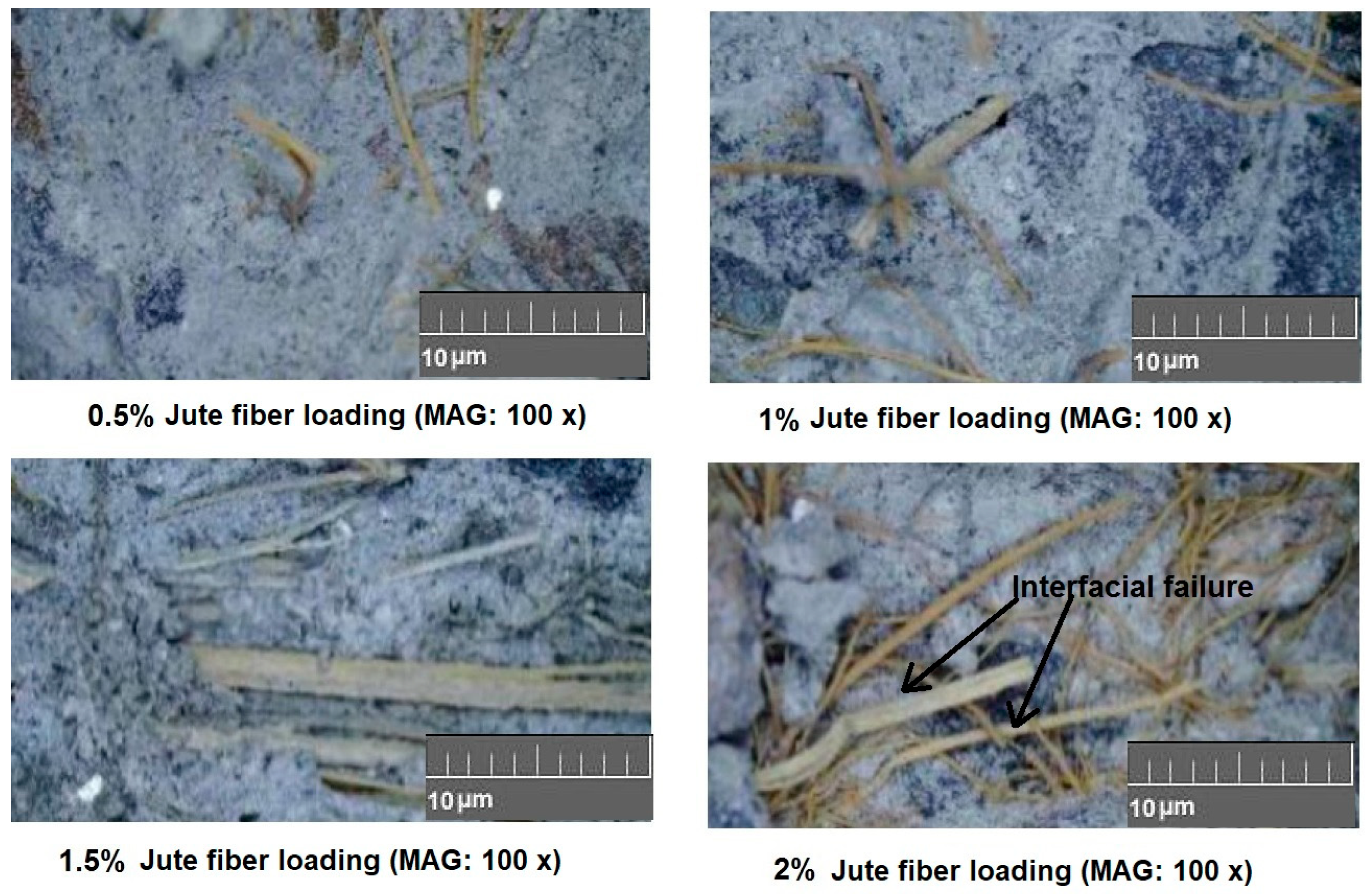 Materials 18 05419 g008