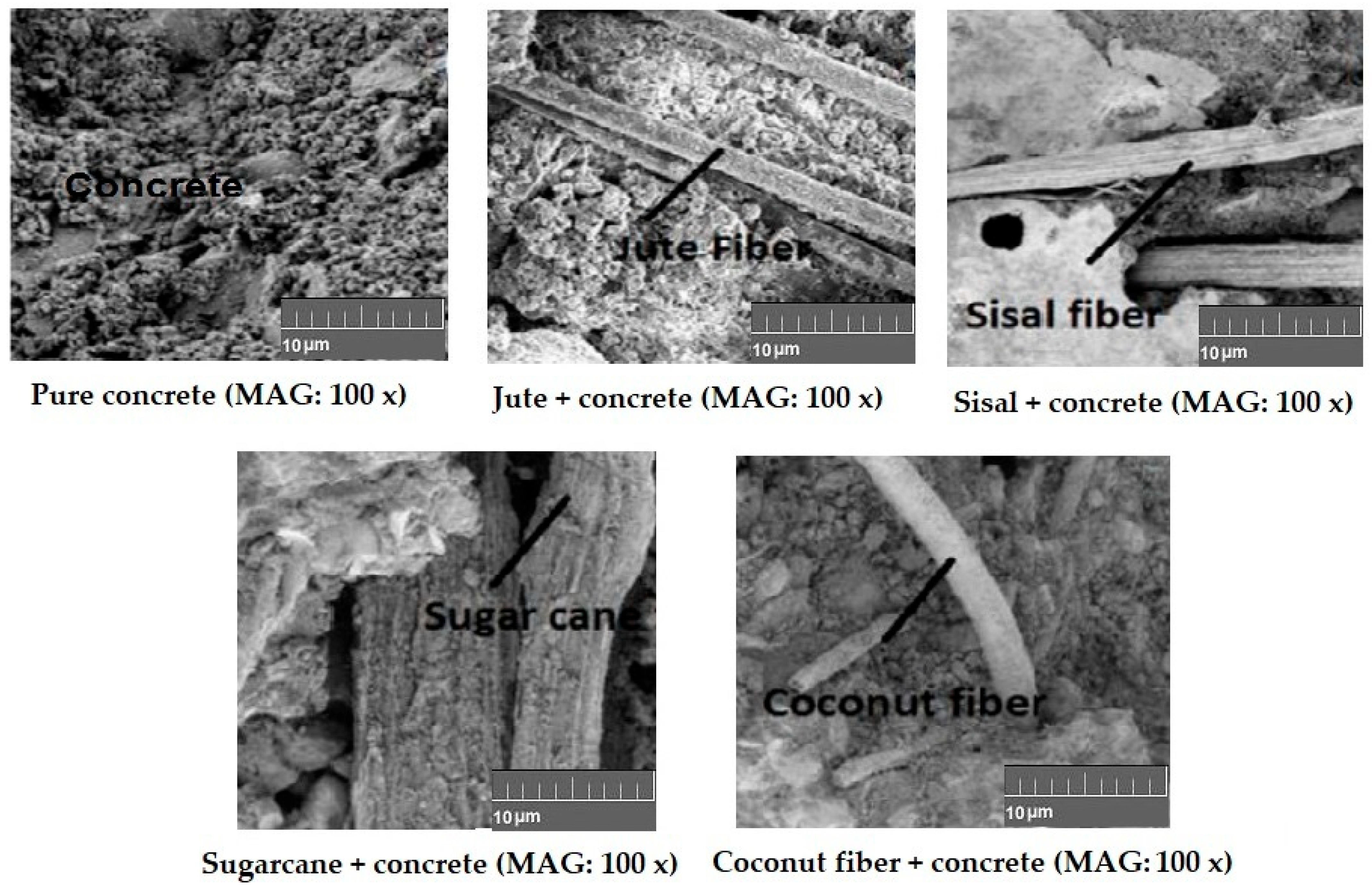 Materials 18 05419 g019