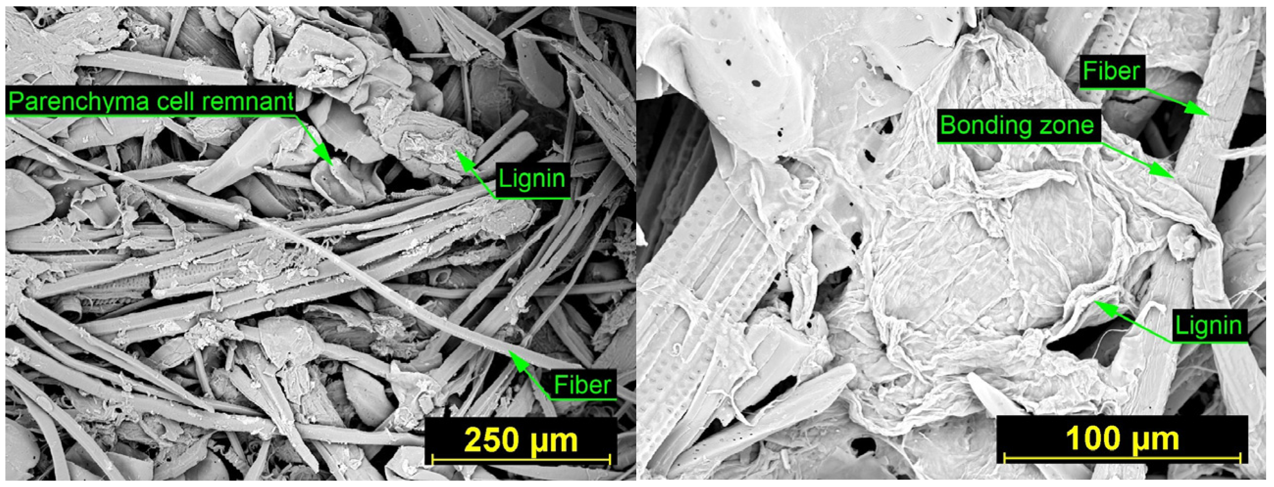 Materials 18 05481 g007 Materials 18 05481 g007