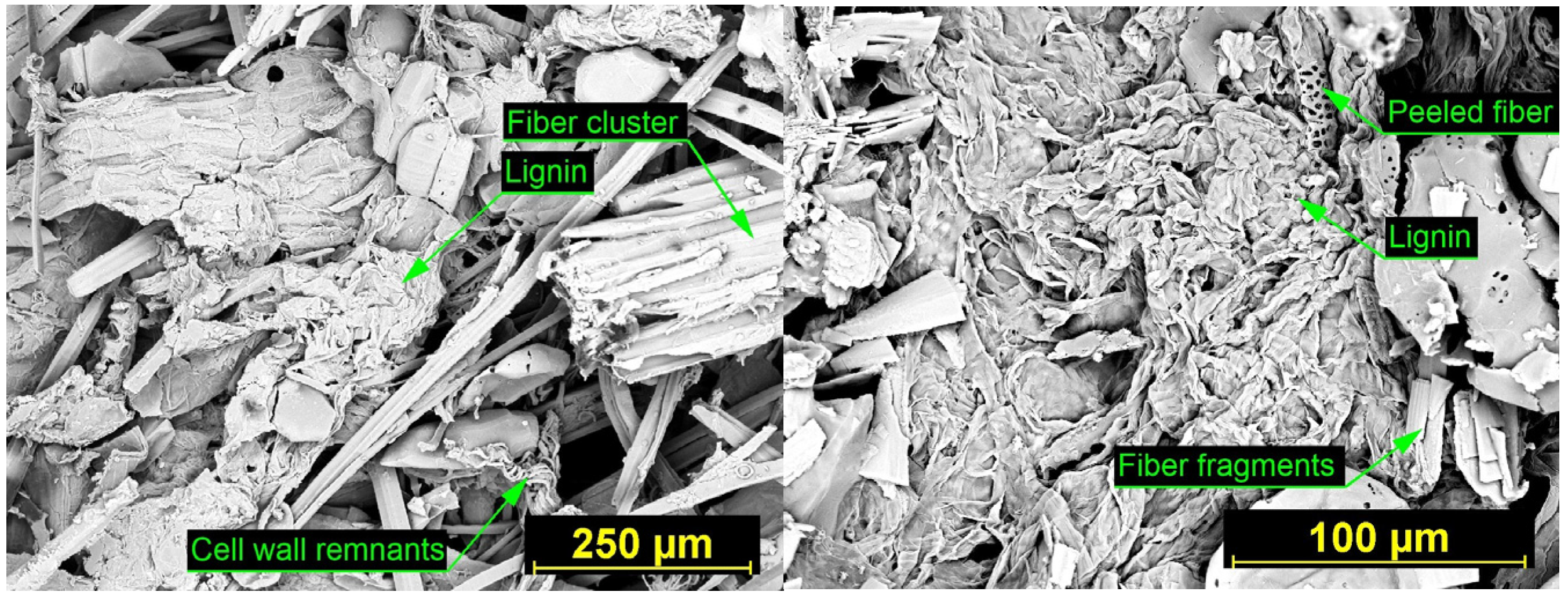 Materials 18 05481 g008 Materials 18 05481 g008