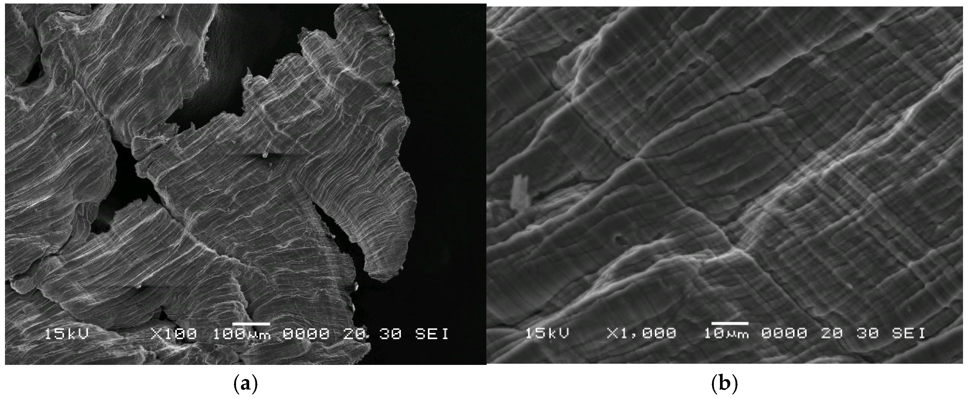 Materials 18 05638 g002 Materials 18 05638 g002