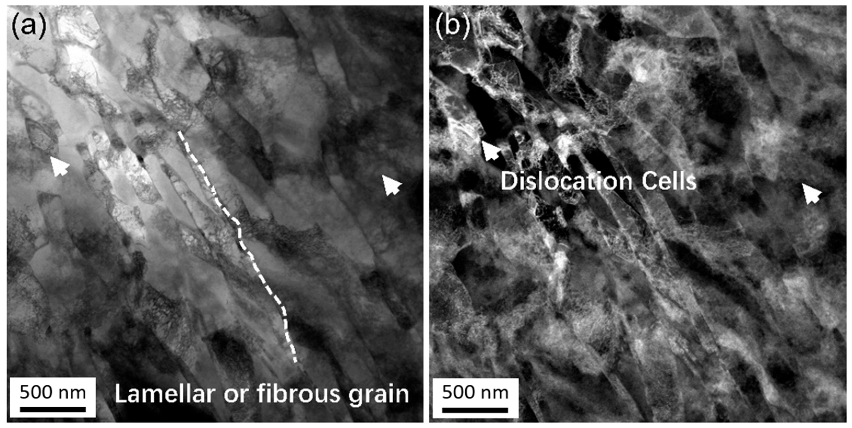 Materials 18 05641 g006