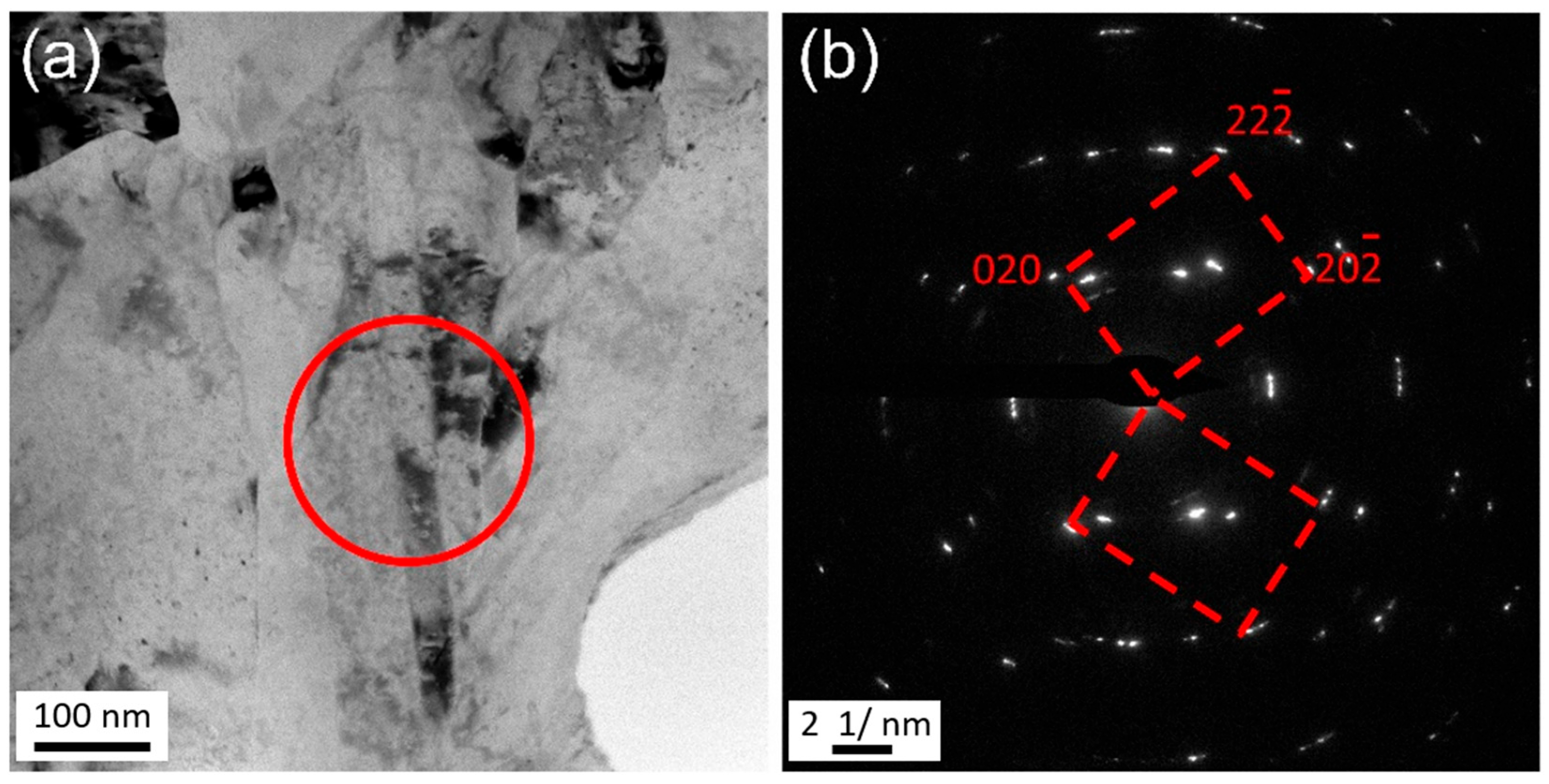 Materials 18 05641 g007