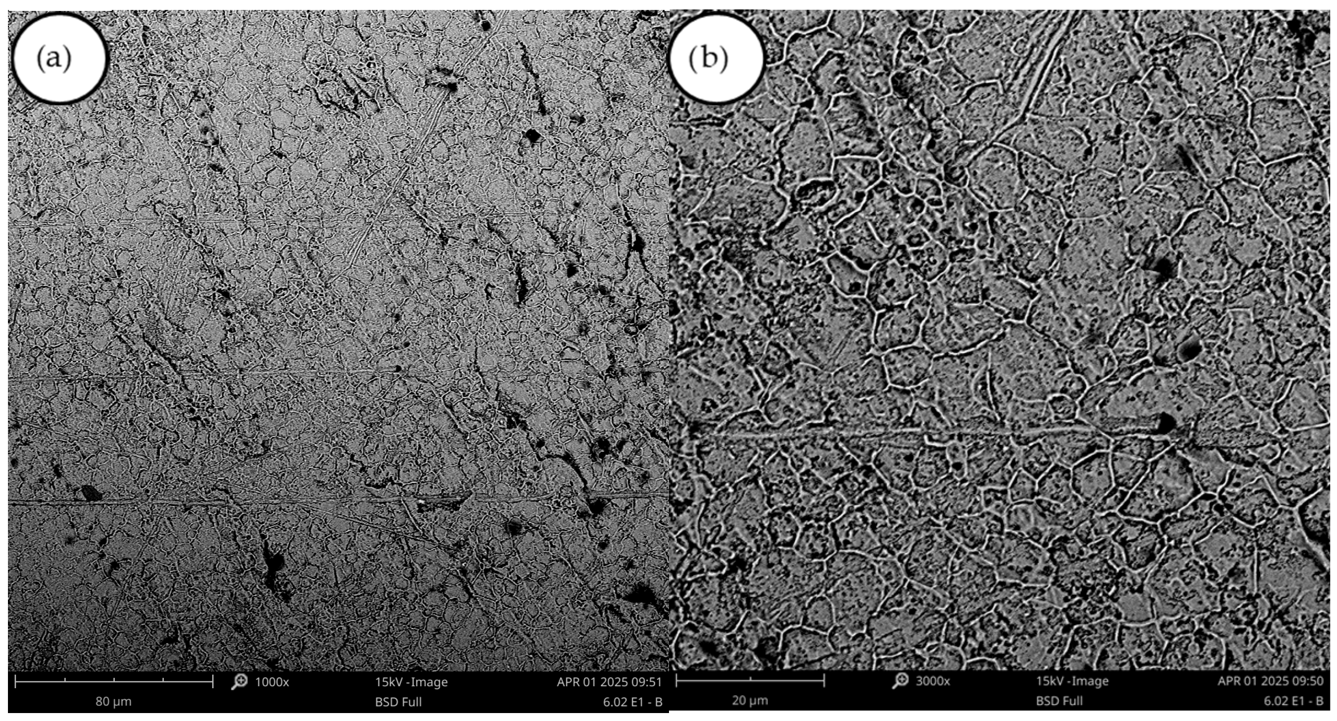 Materials 18 05653 g003 Materials 18 05653 g003