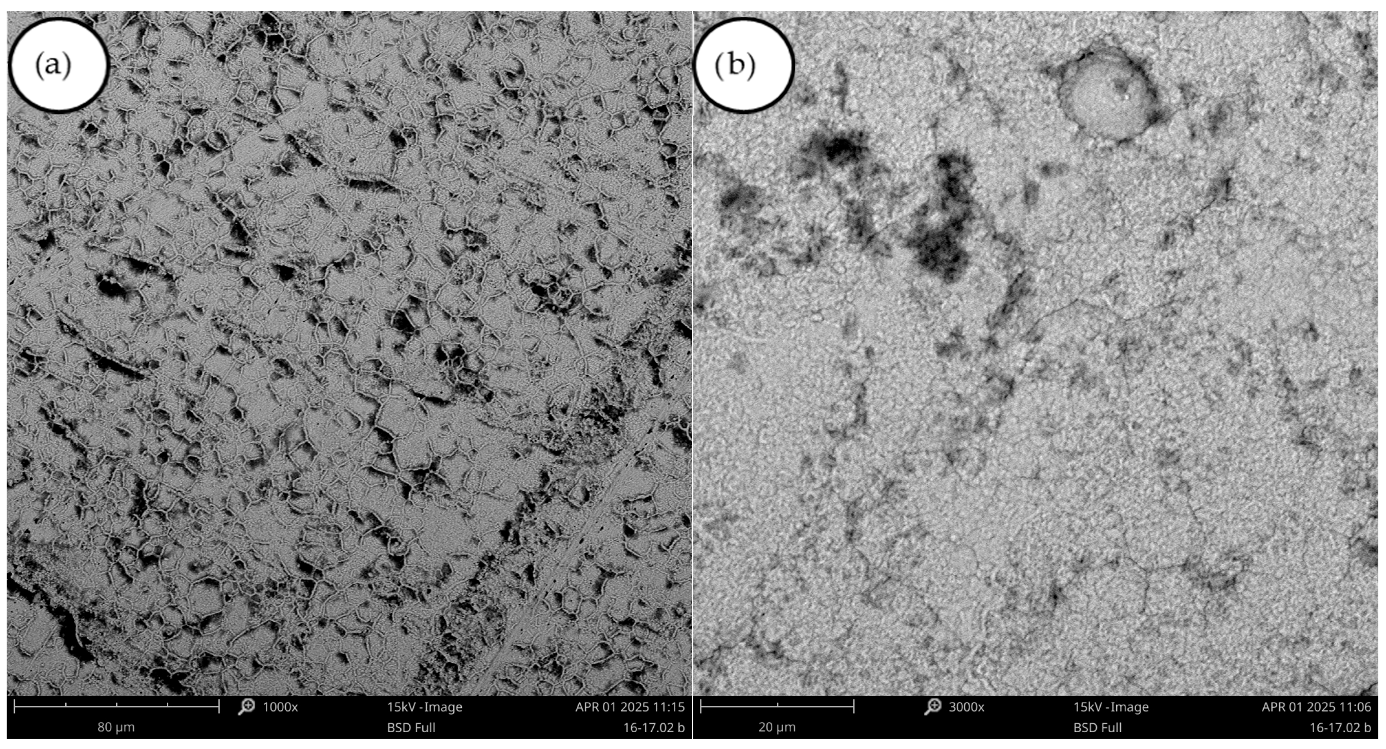 Materials 18 05653 g004 Materials 18 05653 g004