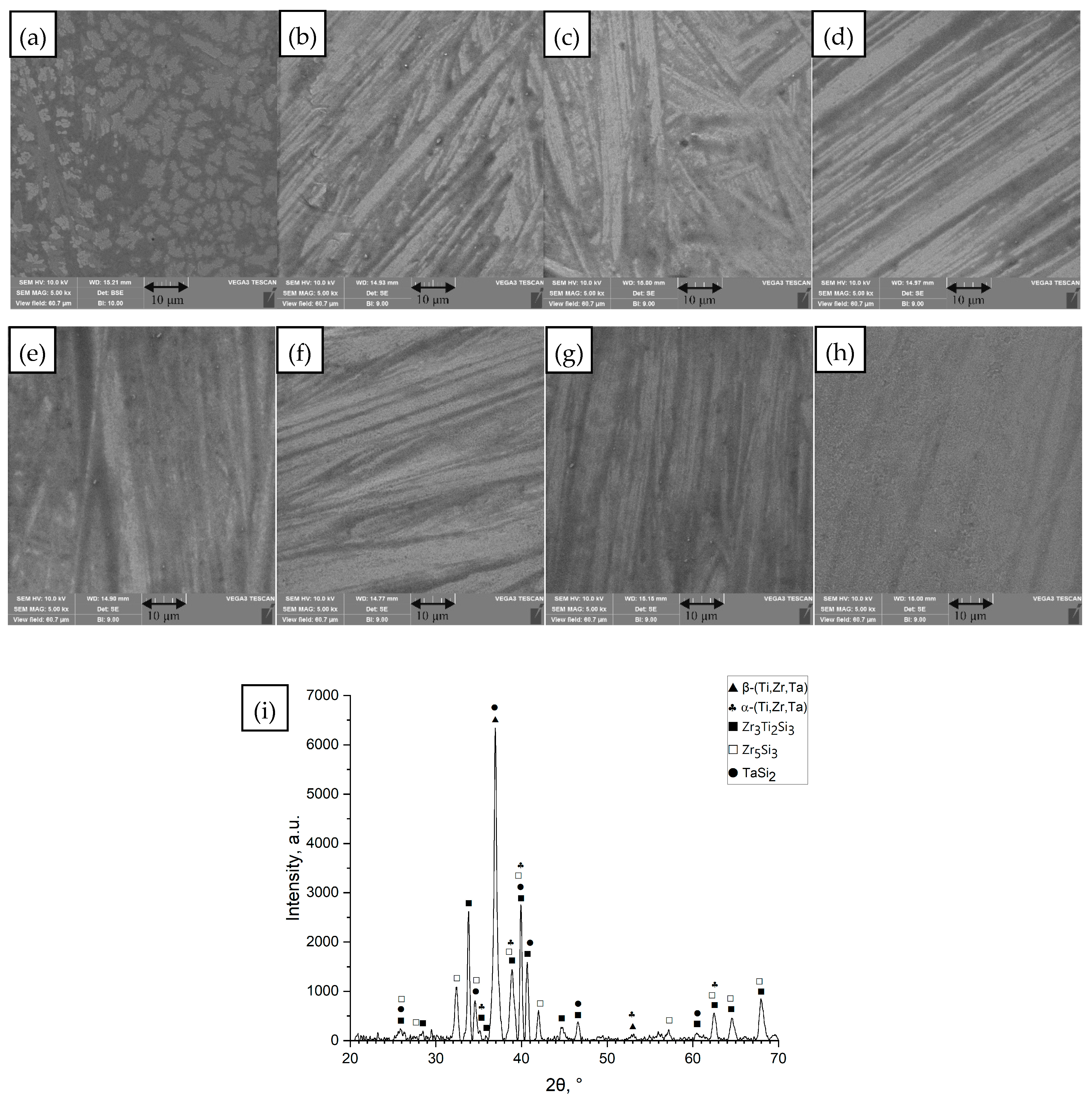 Materials 18 05687 g001 Materials 18 05687 g001
