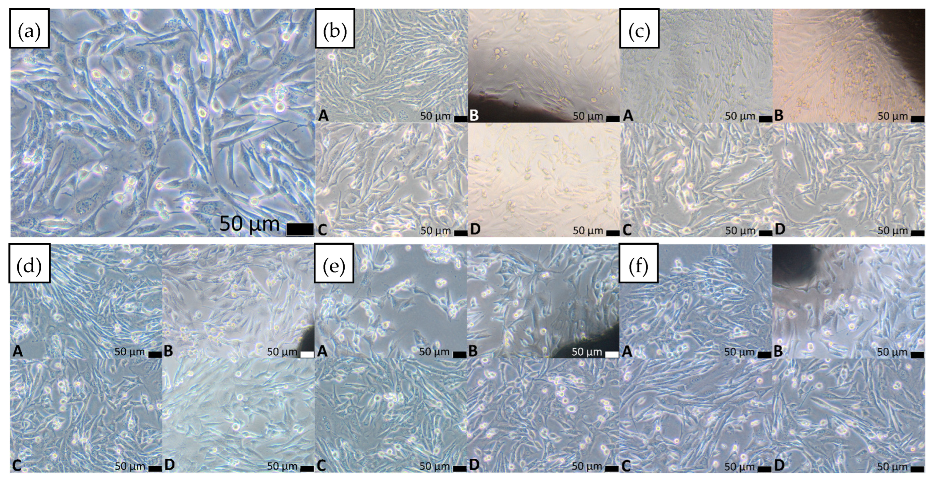 Materials 18 05687 g010 Materials 18 05687 g010