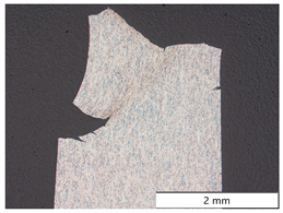 Materials 19 00015 i001 Materials 19 00015 i001