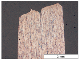 Materials 19 00015 i007 Materials 19 00015 i007