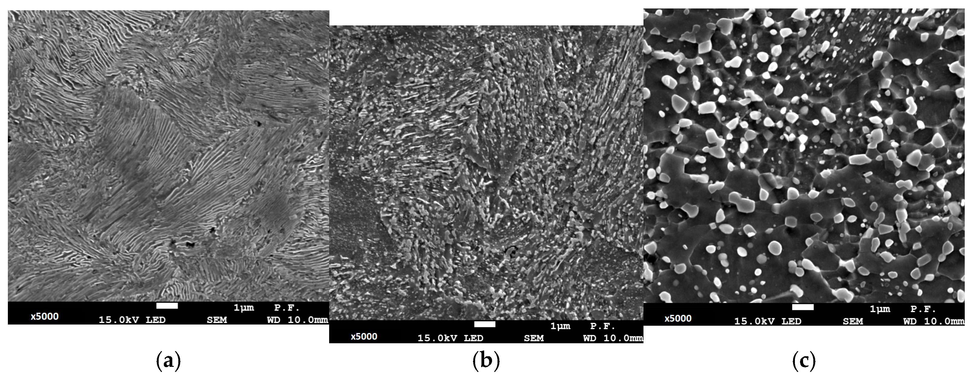 Materials 19 00023 g002 Materials 19 00023 g002