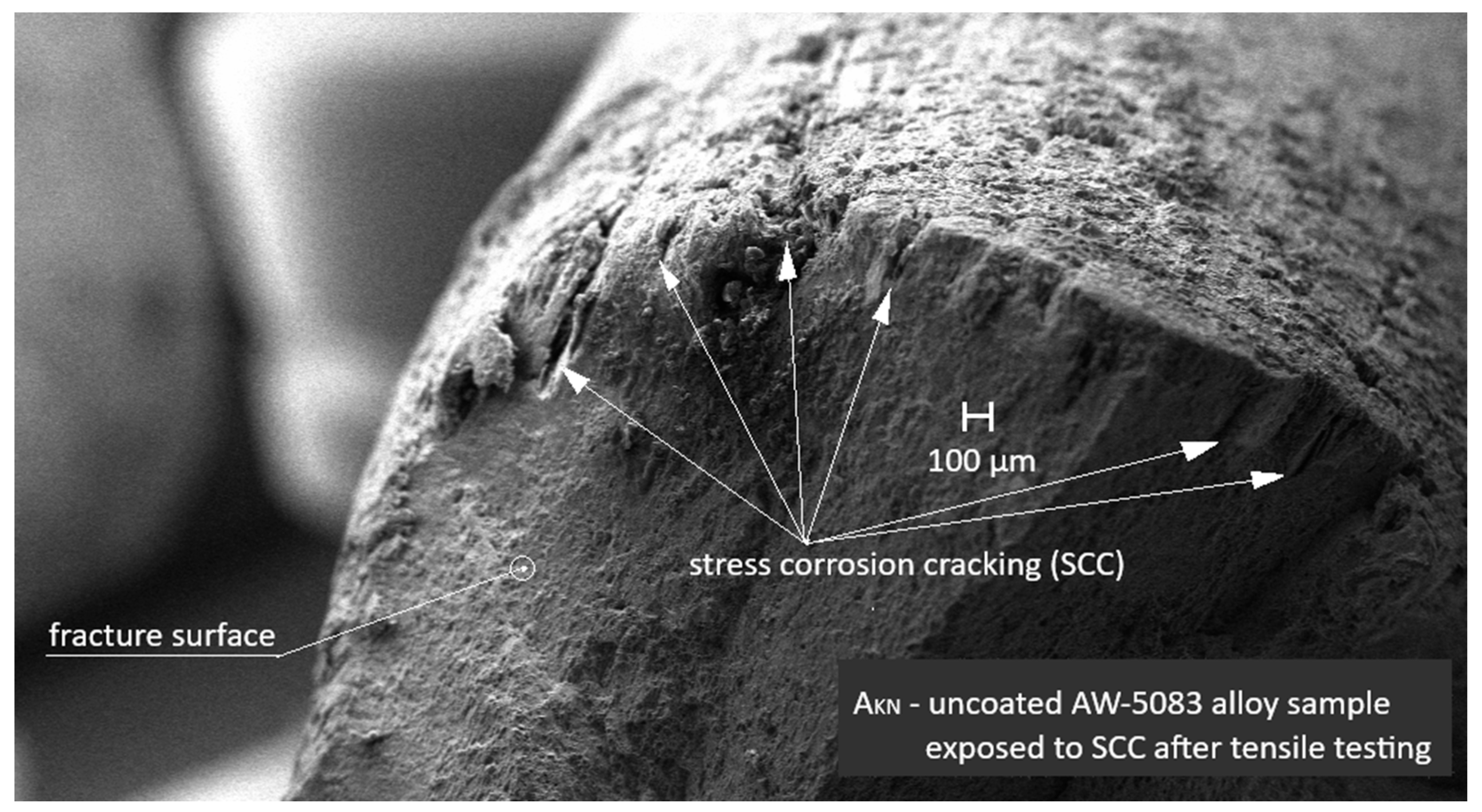 Materials 19 00039 g015 Materials 19 00039 g015