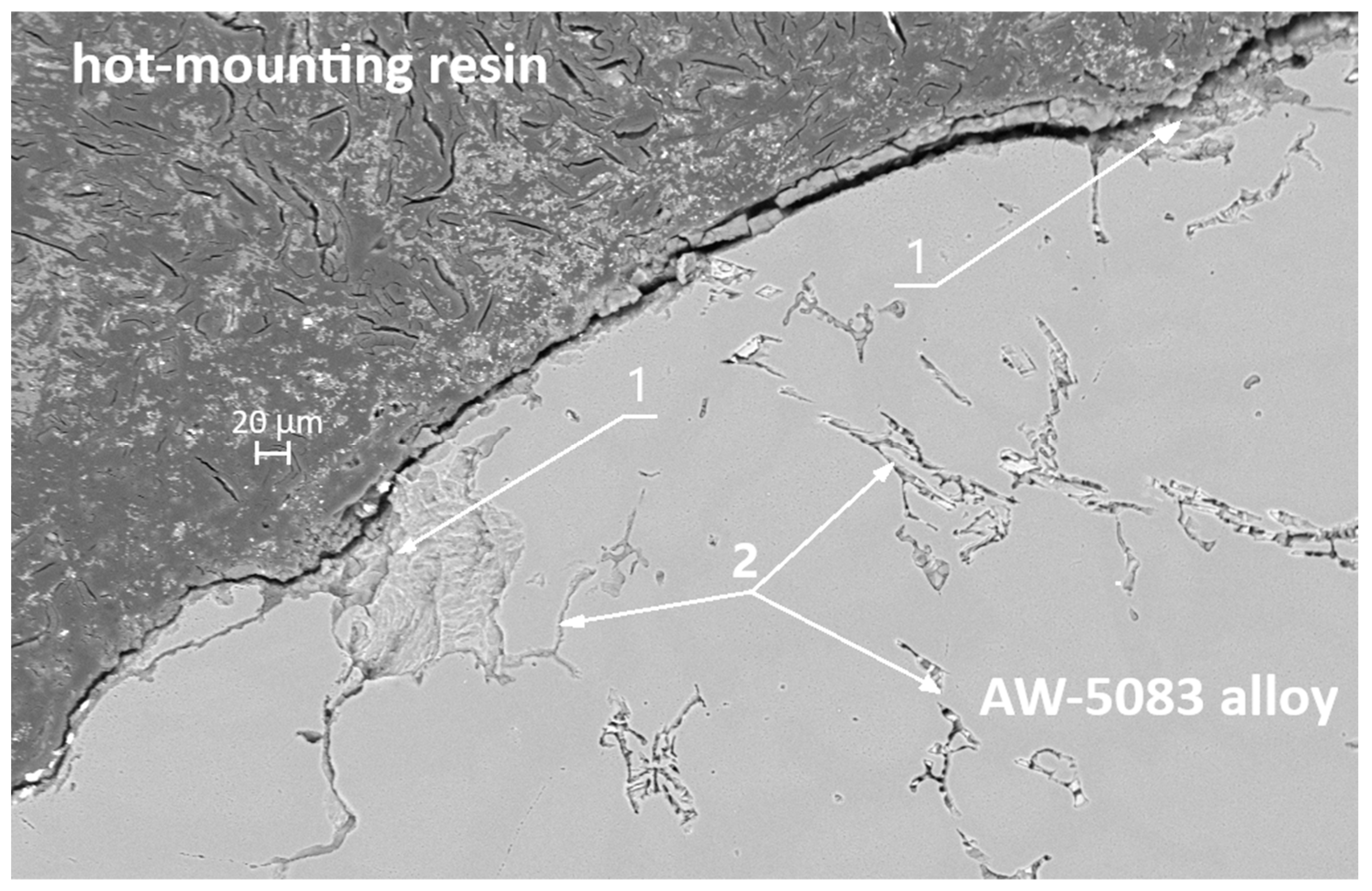 Materials 19 00039 g016 Materials 19 00039 g016