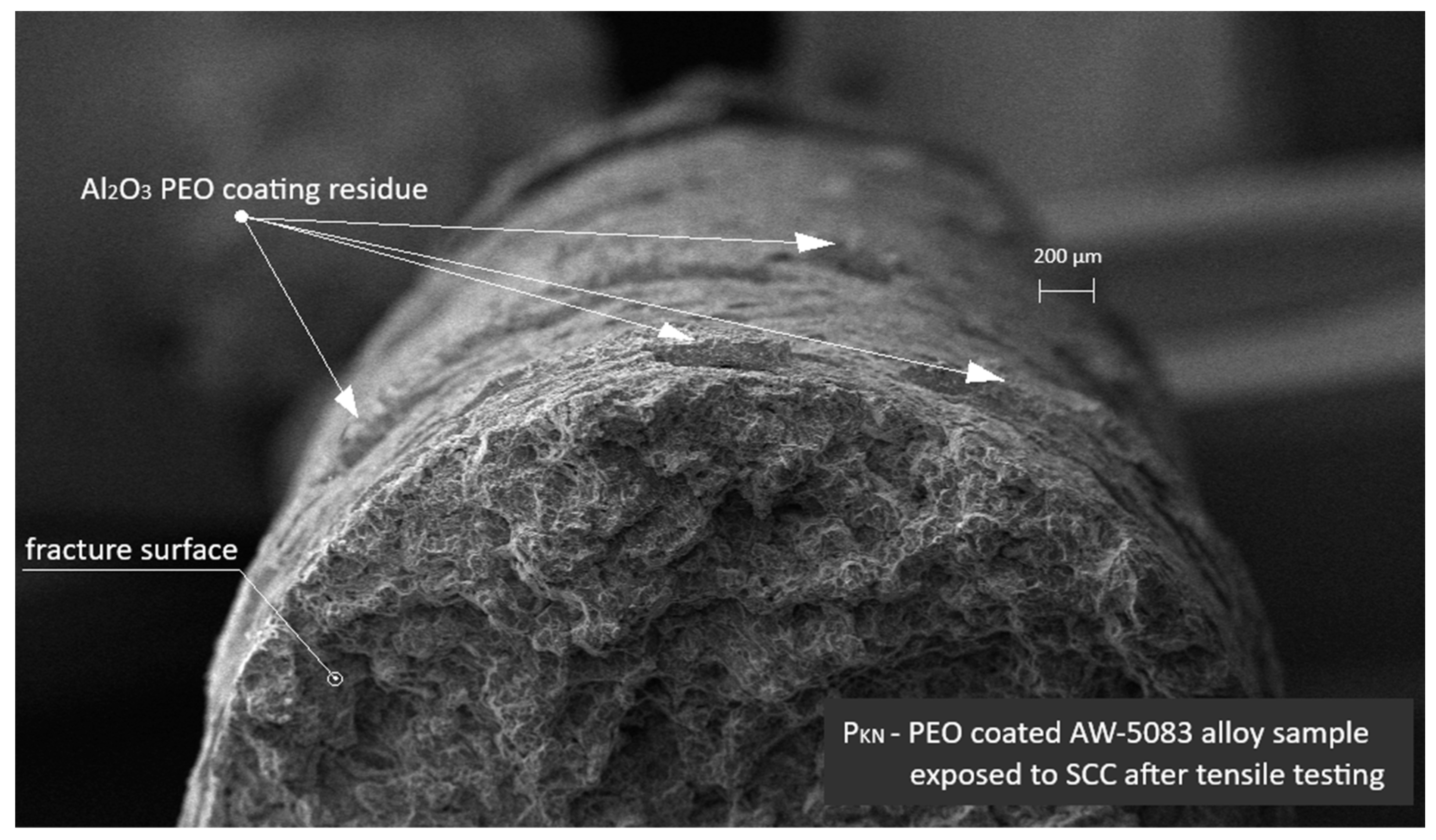 Materials 19 00039 g018 Materials 19 00039 g018