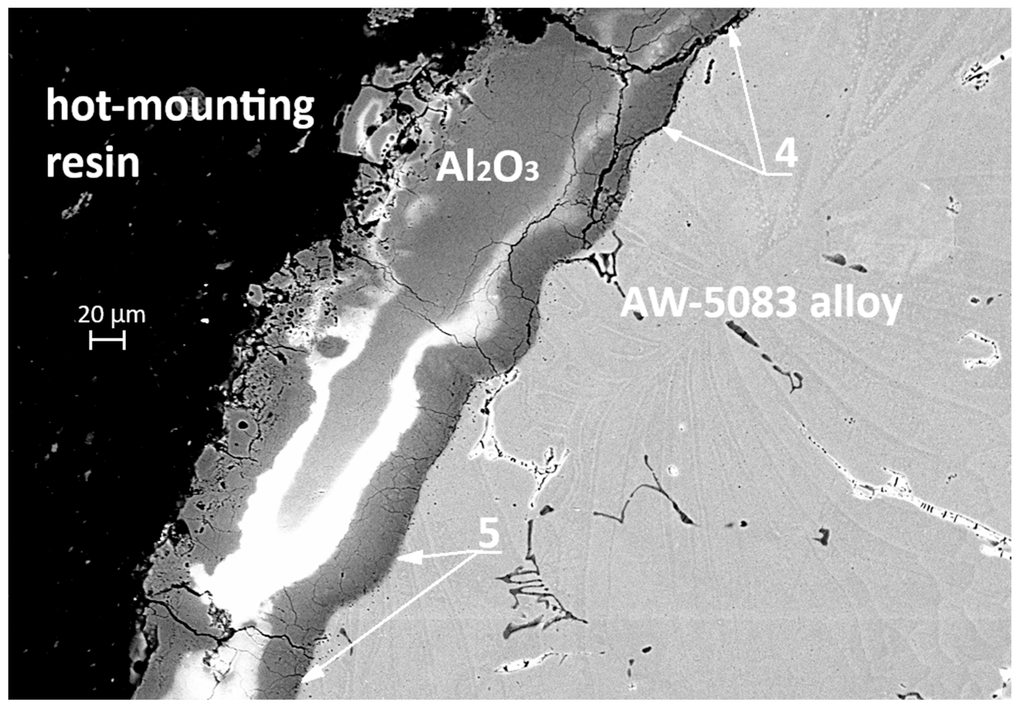 Materials 19 00039 g020 Materials 19 00039 g020