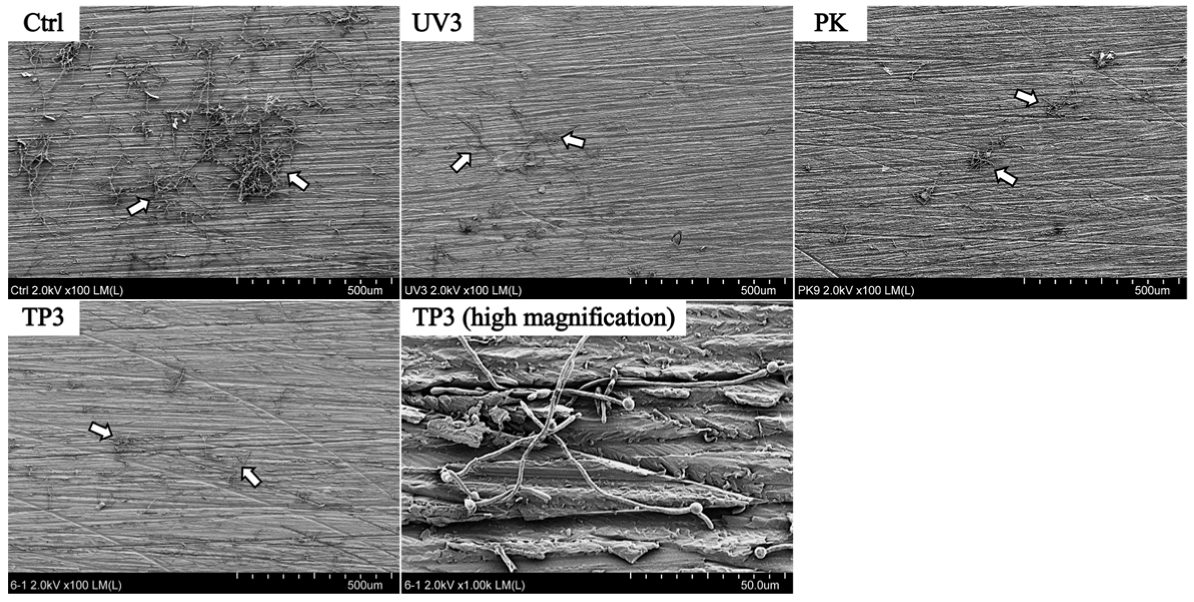Materials 19 00053 g004 Materials 19 00053 g004