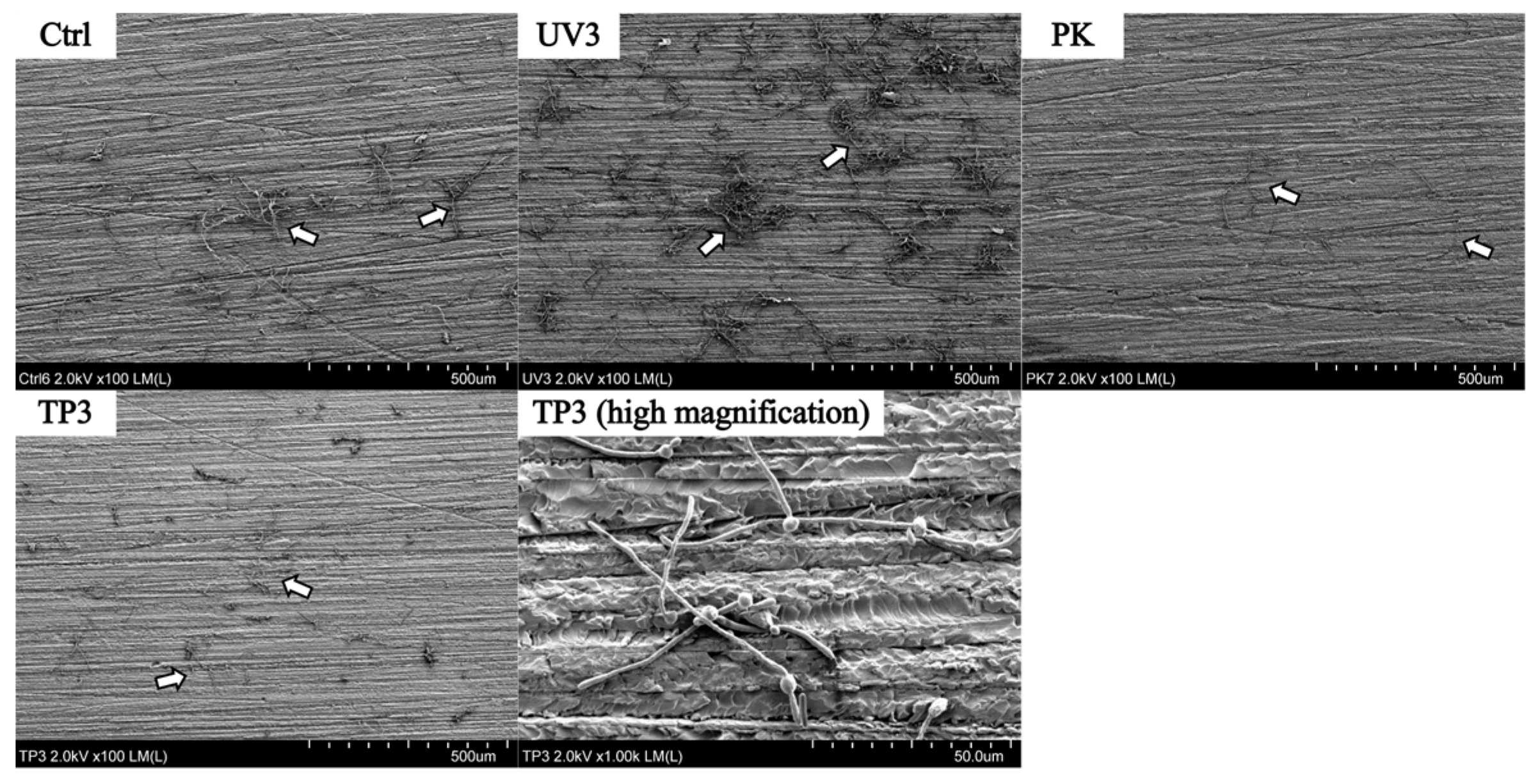 Materials 19 00053 g005 Materials 19 00053 g005
