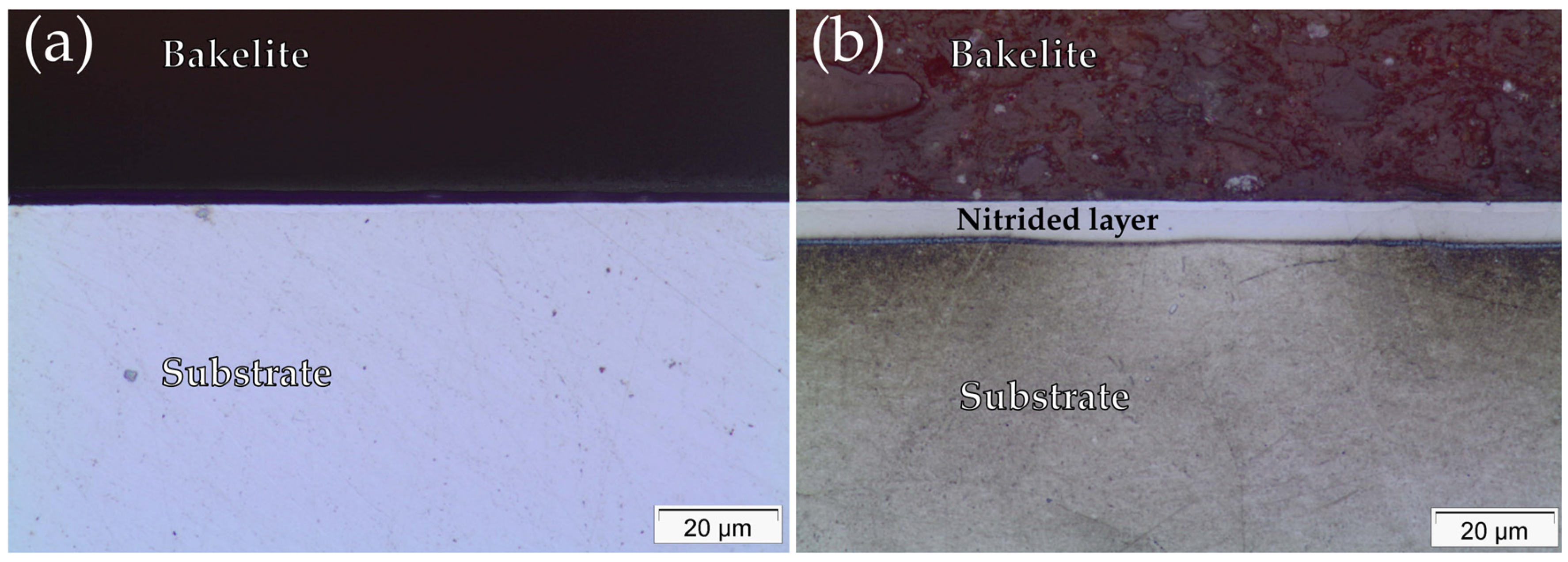 Materials 19 00063 g001