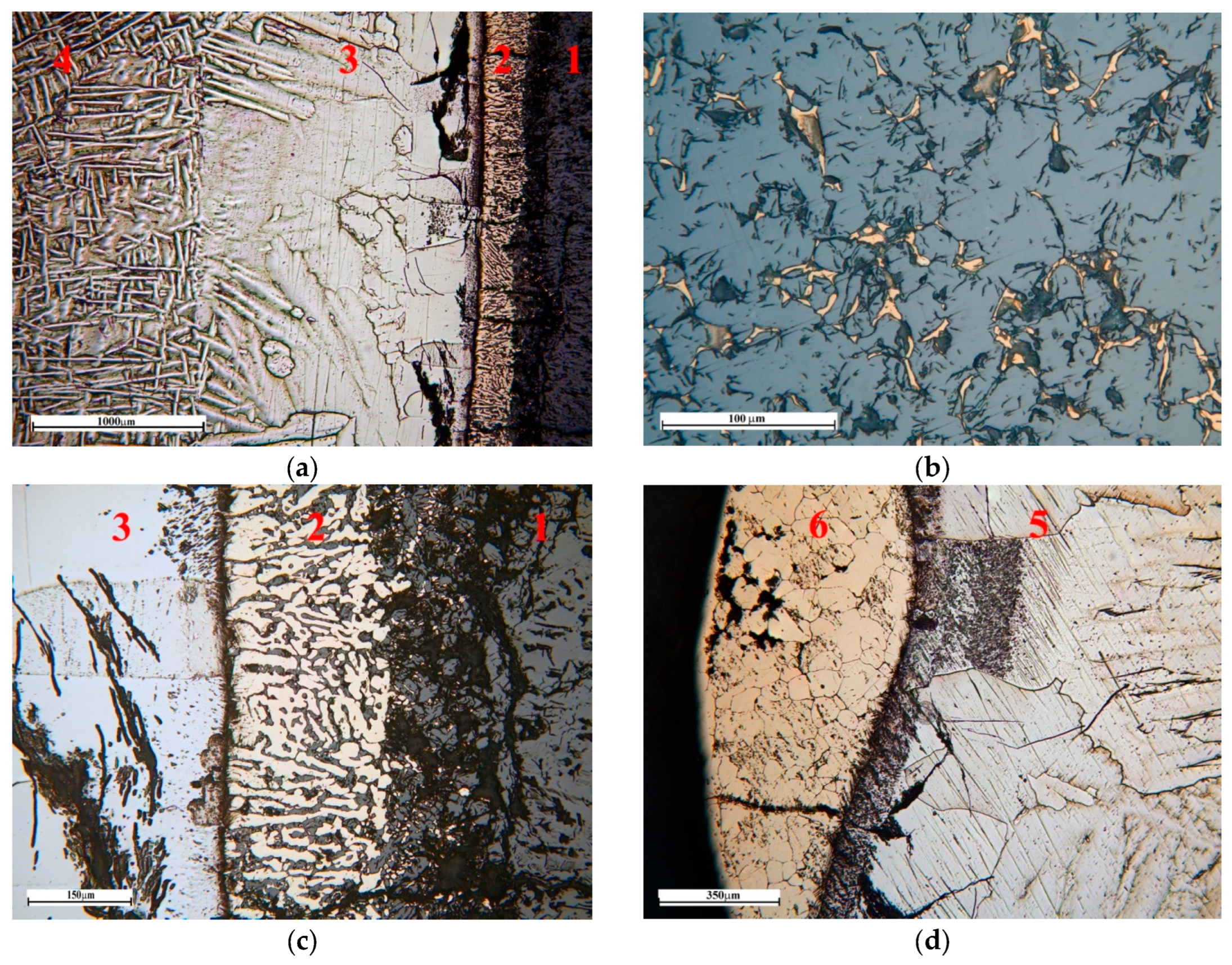Materials 19 00072 g011