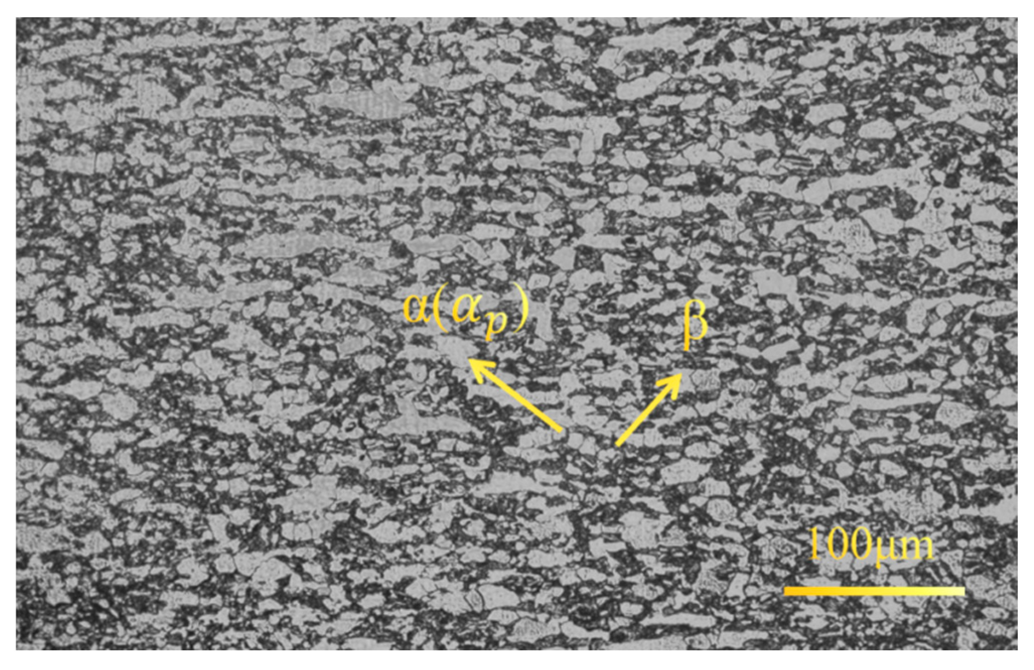 Materials 19 00116 g001