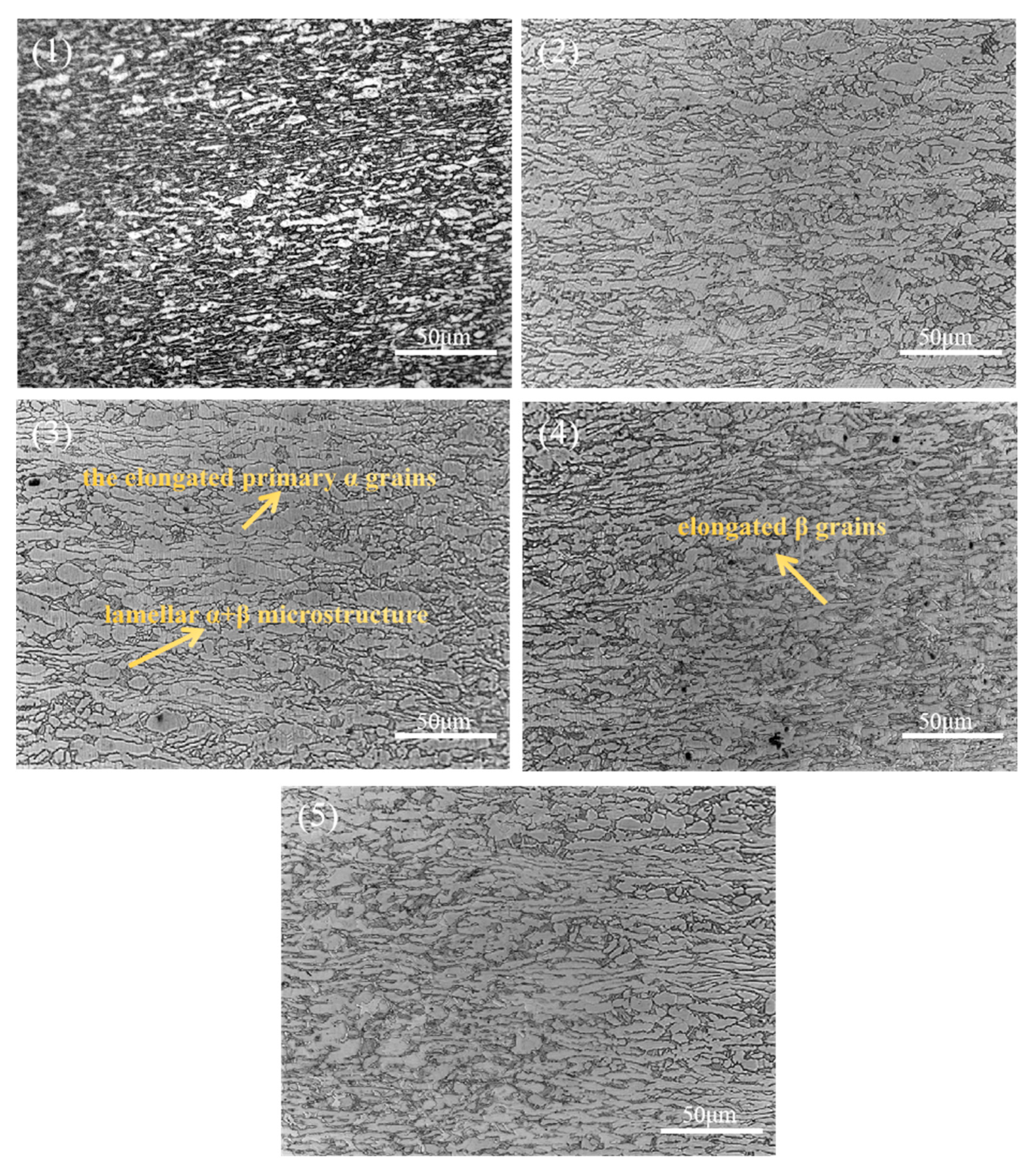 Materials 19 00116 g010